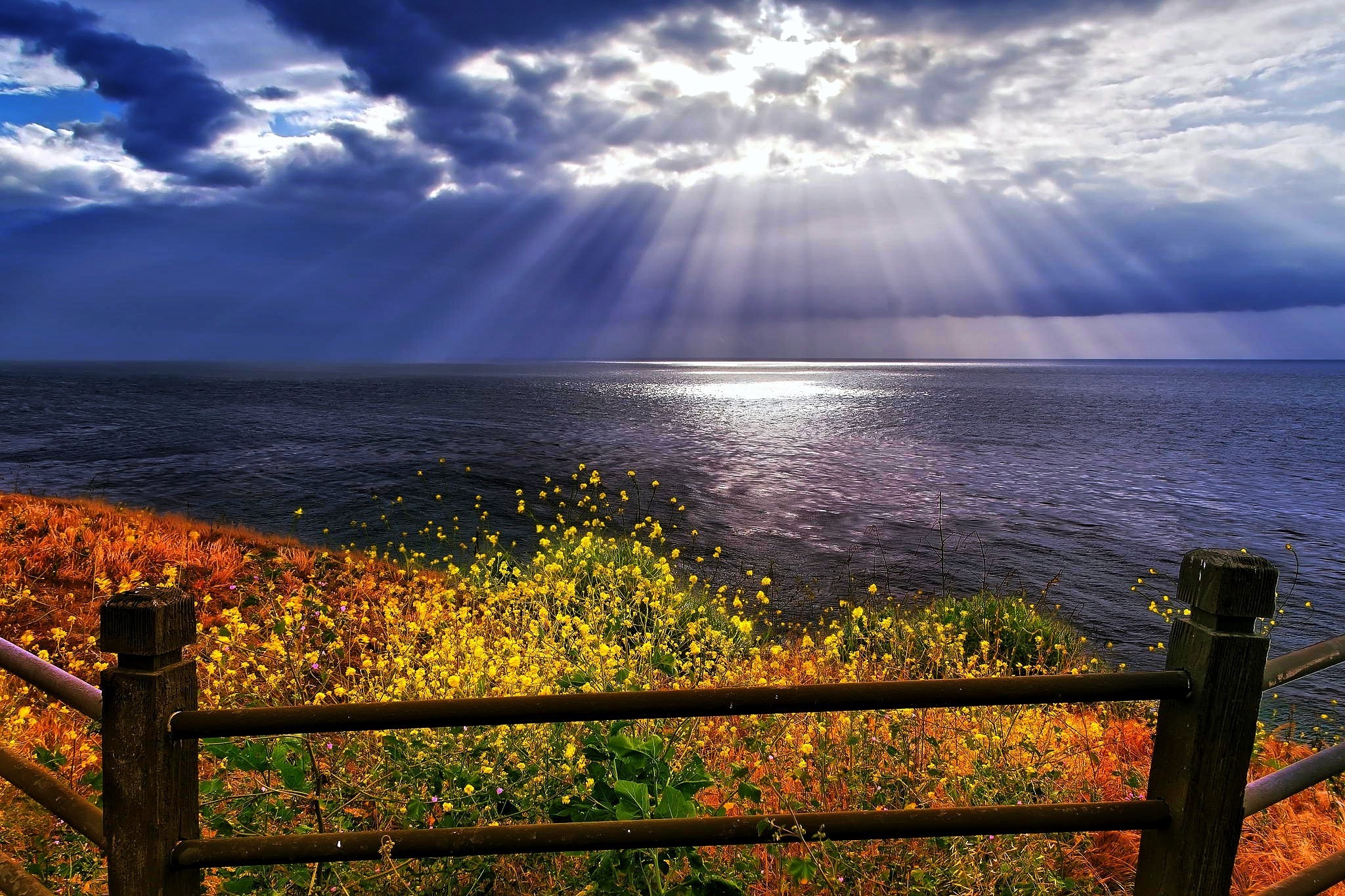 coast, Nature, Landscape, Wildflowers, Sun Rays, Sea, Fence, Clouds Wallpaper HD / Desktop and Mobile Background