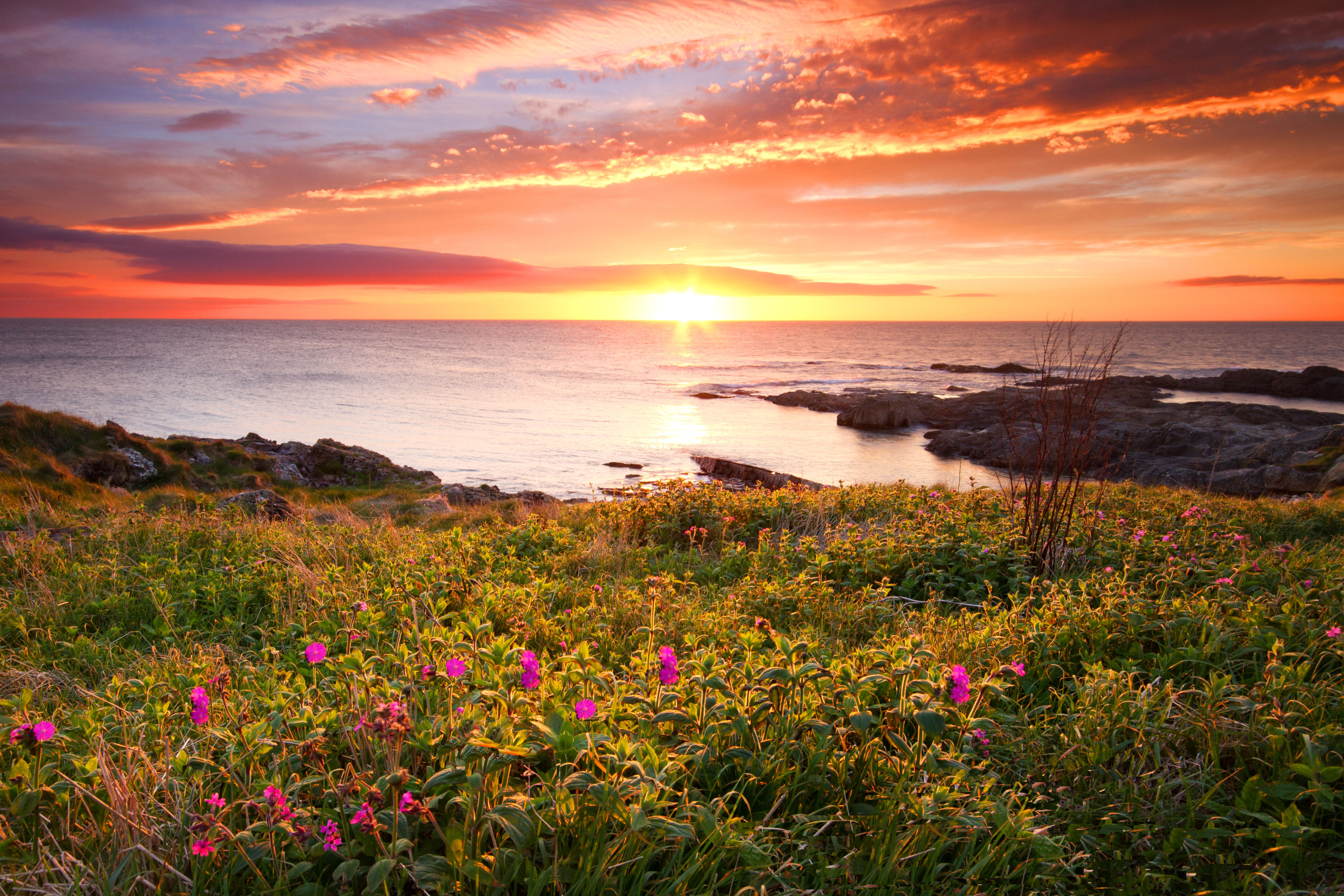 Wallpaper, ocean, UK, sea, naturaleza, seascape, colour, beach, nature, water, clouds, sunrise, Canon, landscape, coast, Scotland, mar, seaside, fife, sigma, escocia, 7d, wildflower, oceano, Ecosse, crail, eastneuk, fifecoastalwalk, escosia