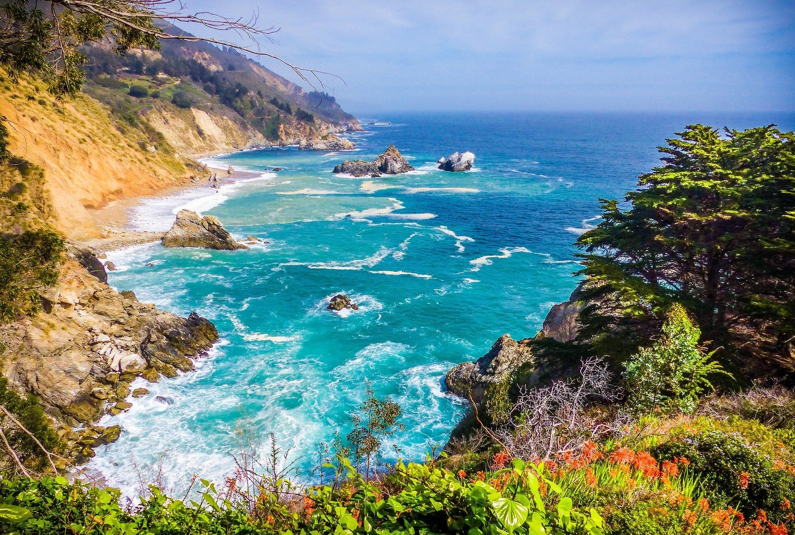 nature photography landscape sunlight coast beach trees shrubs wildflowers sea rocks cliff hills california Gallery HD Wallpaper