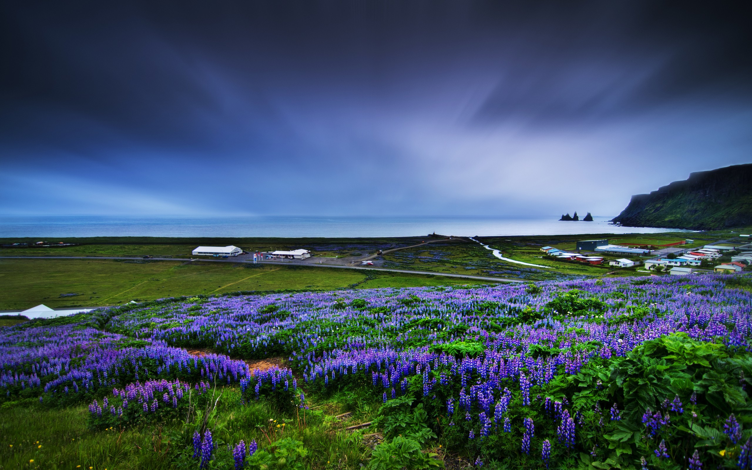 Wallpaper, sunlight, landscape, sea, water, nature, shore, reflection, grass, sky, field, coast, horizon, lavender, blue flowers, muscari, wetland, cloud, mountain, flower, ocean, meadow, wildflower, rural area, computer wallpaper, land plant, flowering