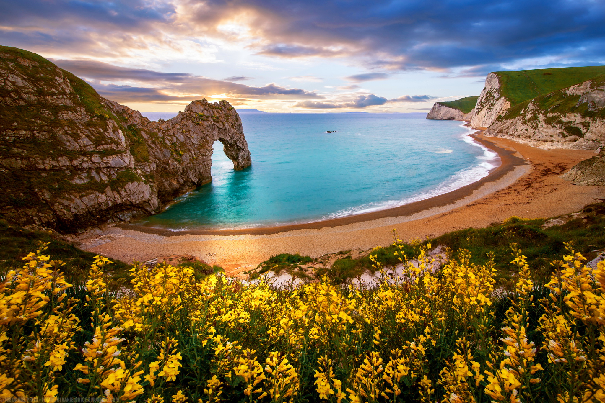 HD desktop wallpaper: Beach, Sand, Flower, Ocean, Earth, Cliff, Arch, England, Yellow Flower, Durdle Door, Dorset download free picture