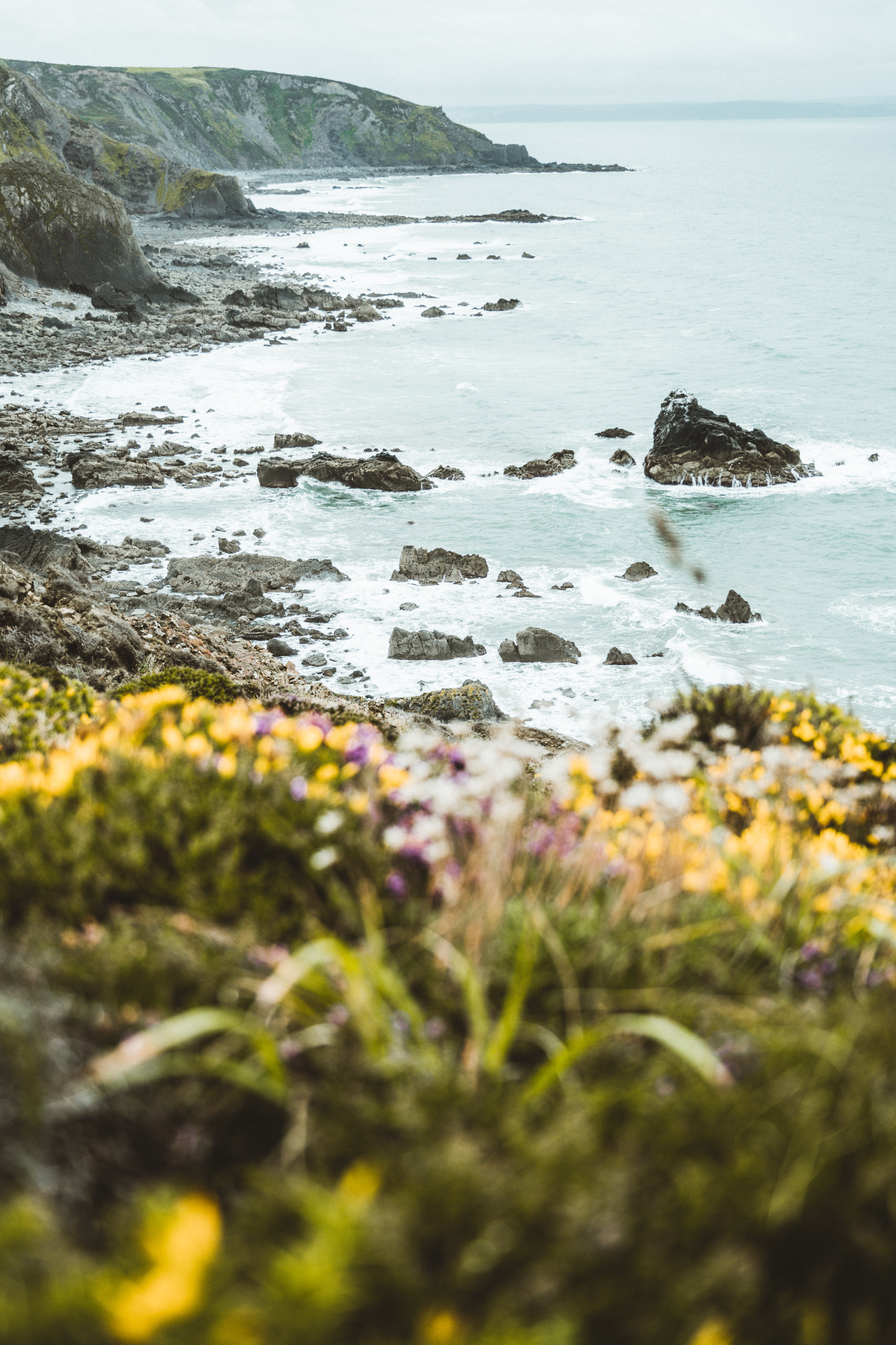 Mobile wallpaper: Flowers, Rocks, Coast, Cliff, Sea, Nature, 113820 download the picture for free