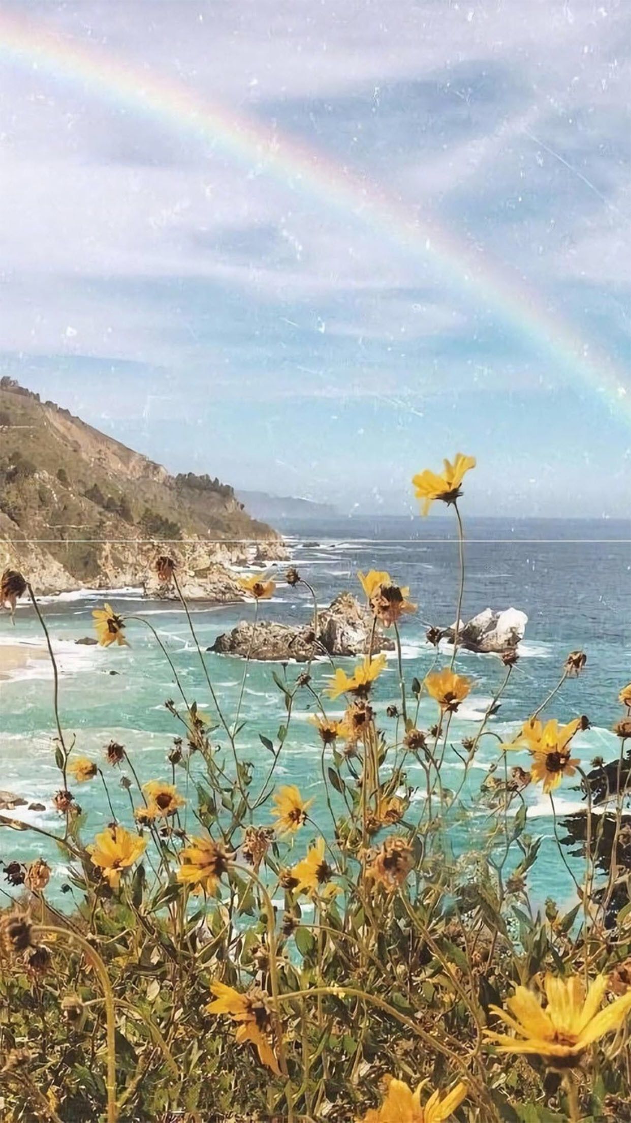 Scenery. Aesthetic background, Nature photography, Cute wallpaper background