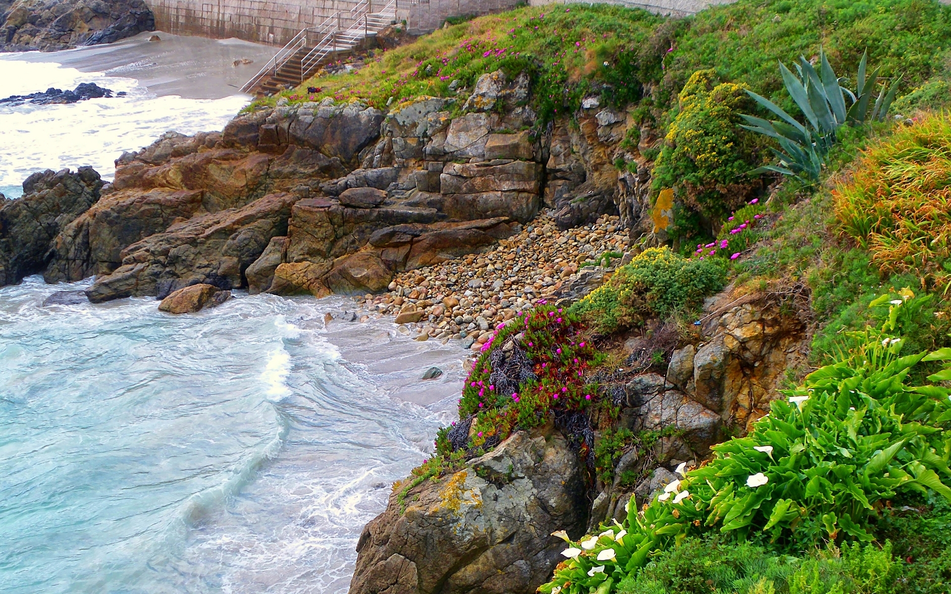 Nice Beach Ocean Rocks Plants wallpaper. Nice Beach Ocean Rocks Plants