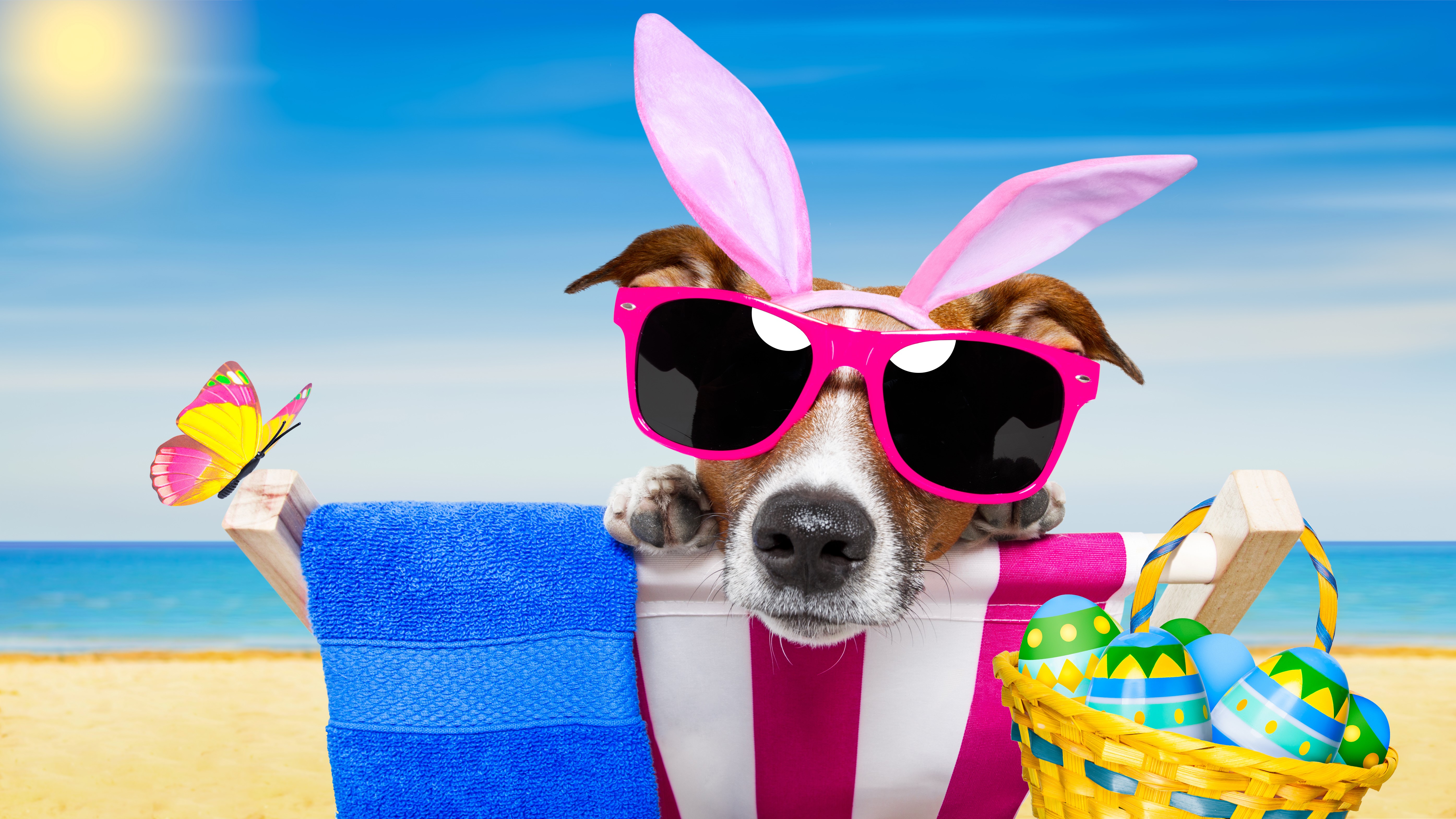 4K, 5K, Holidays, Easter, Dogs, Butterflies, Eggs, Jack Russell terrier, Glasses, Wicker basket, Funny, Rabbit ears Gallery HD Wallpaper