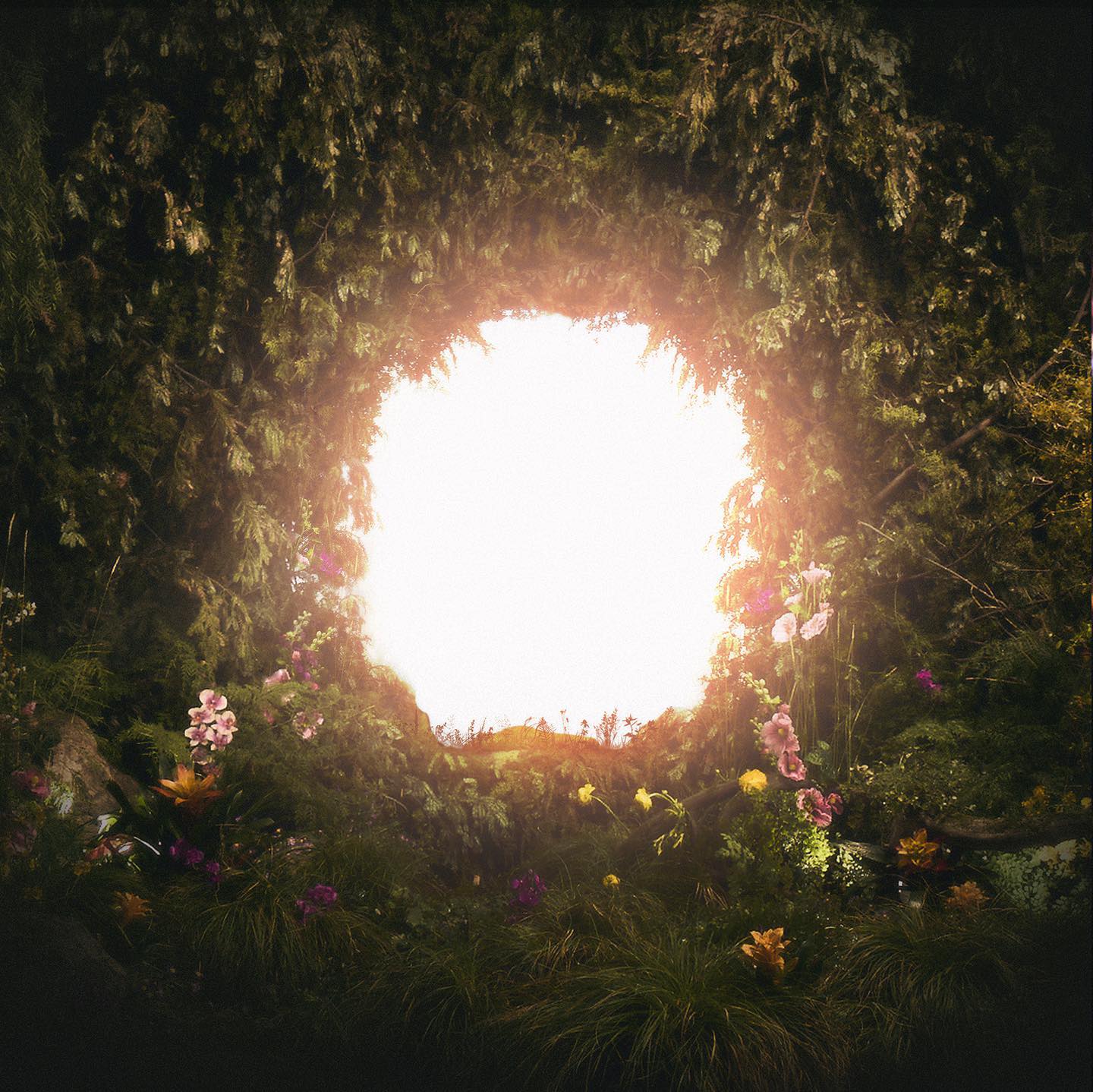 enchanted portals pc download