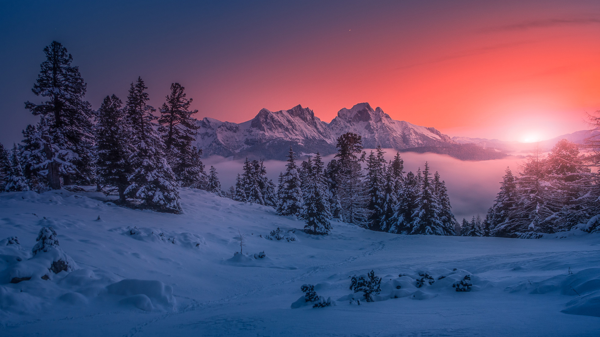 Wallpaper, winter, forest, nature, sunset, snow 1920x1080