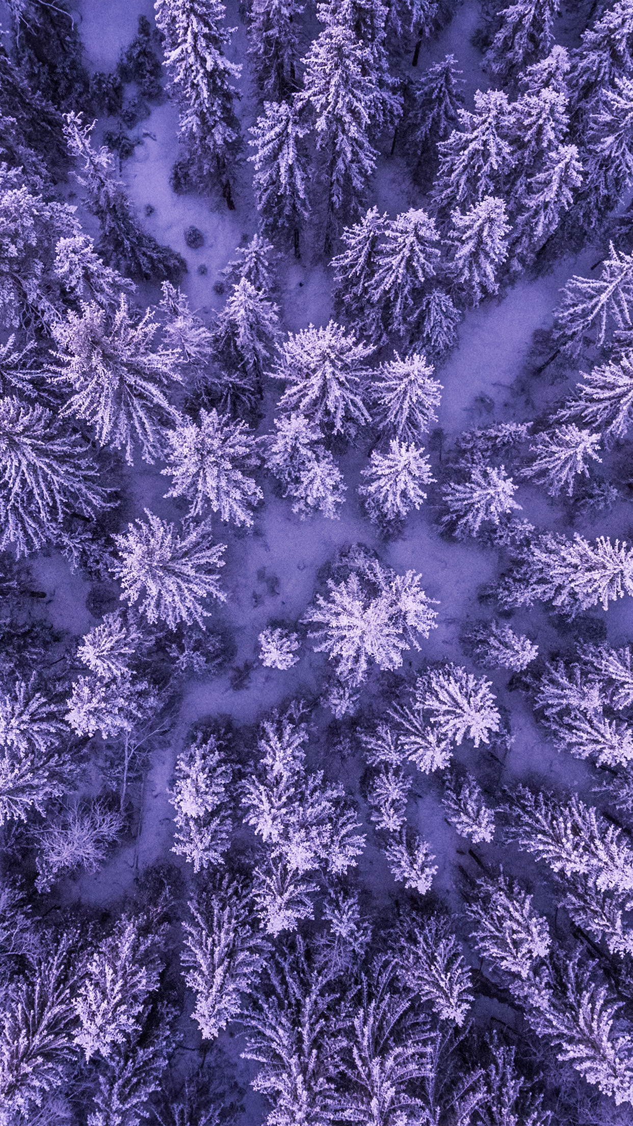iPhone X wallpaper. mountain forest wood purple nature