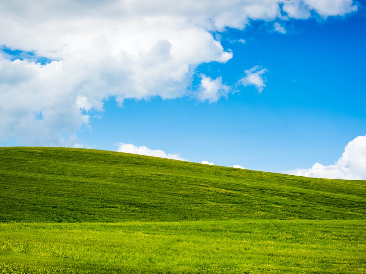 Windows XP turns 20: Microsoft's rise and fall points to one thing