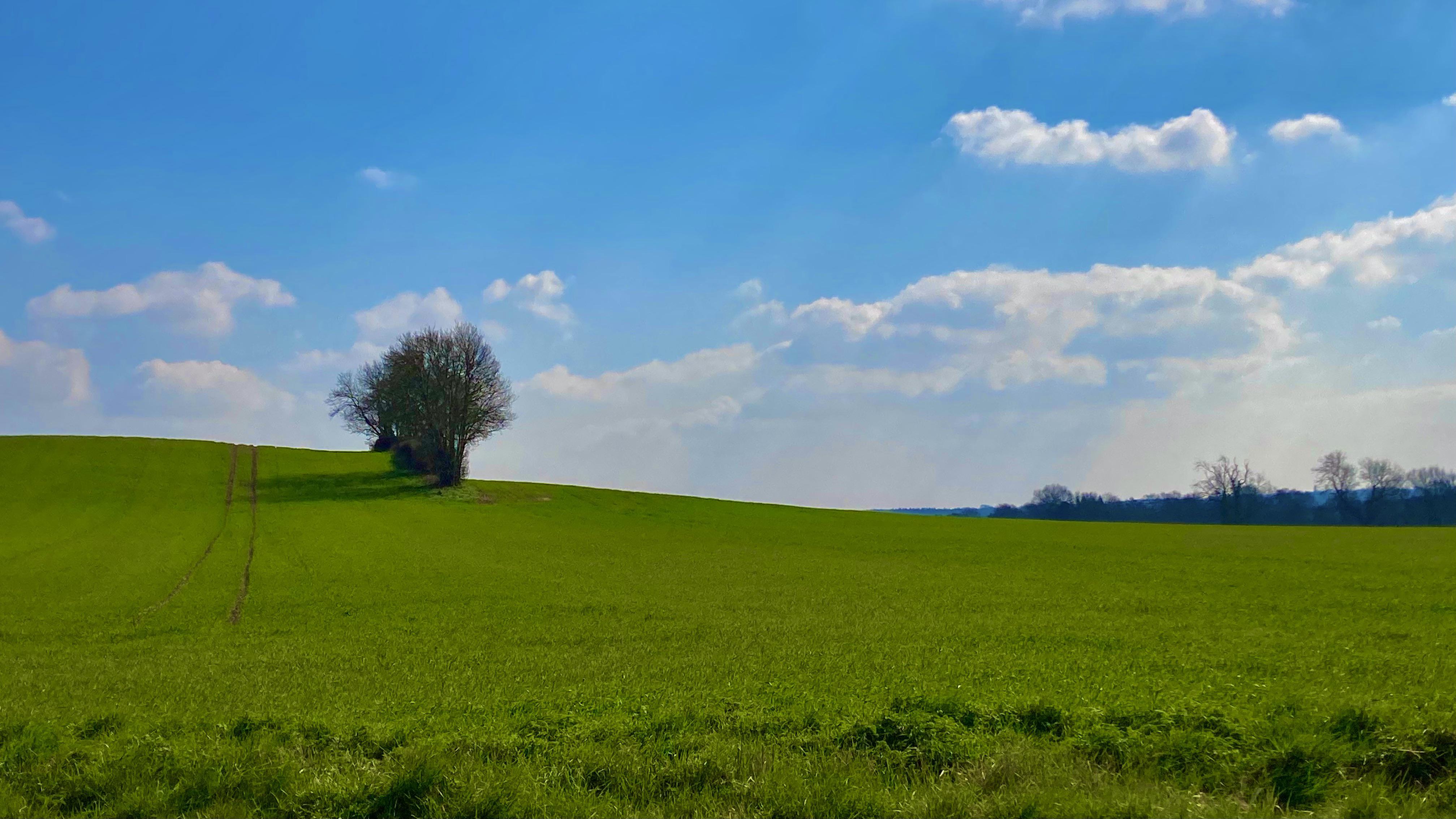 Windows XP Wallpaper 5 mins from my house