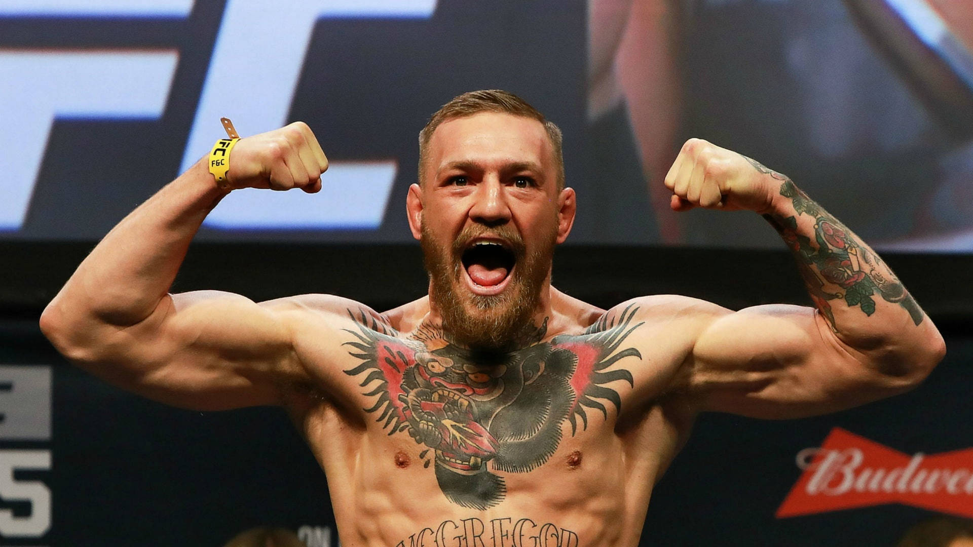Free Conor Mcgregor Wallpaper Downloads, Conor Mcgregor Wallpaper for FREE
