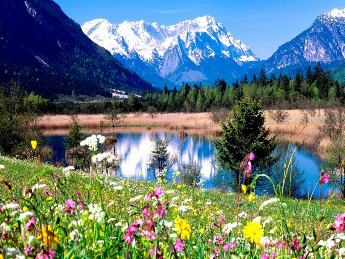 Spring Mountain Scenes Wallpaper