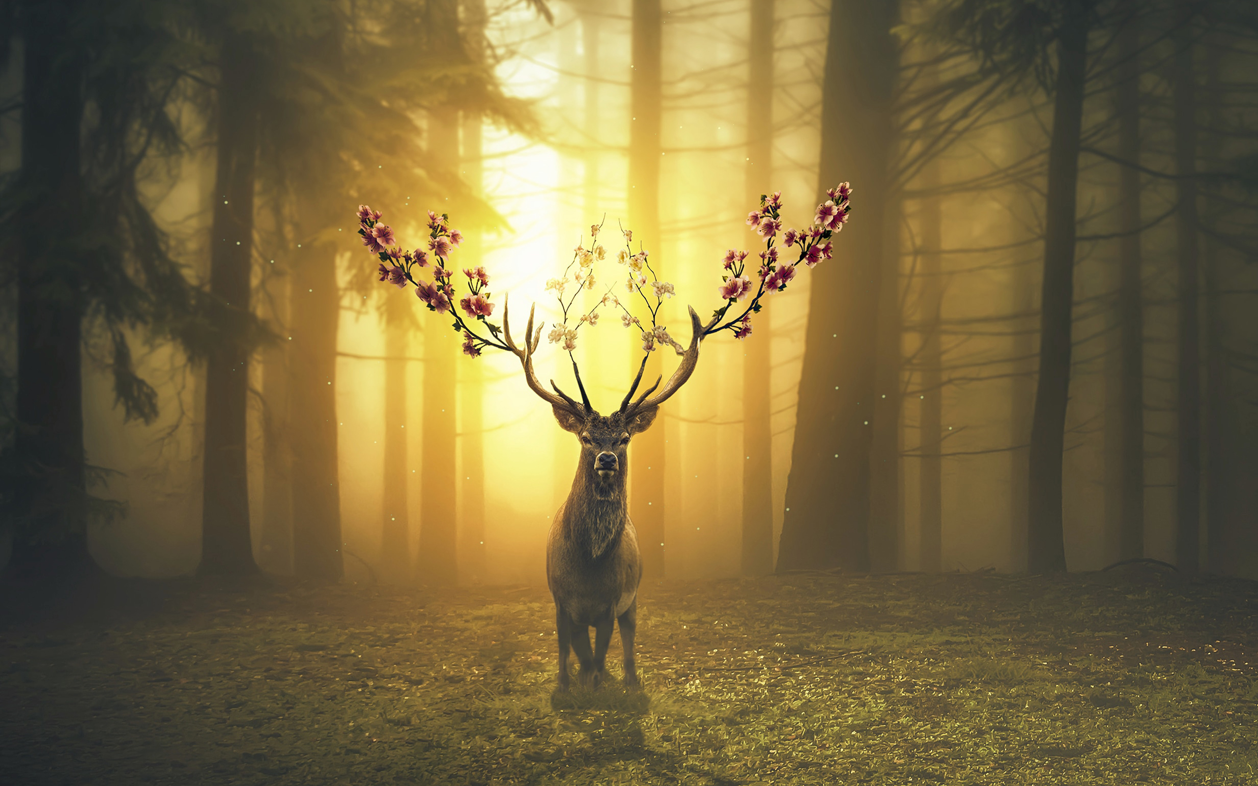 Mobile wallpaper: Fantasy, Forest, Spring, Deer, Fantasy Animals, 432247 download the picture for free