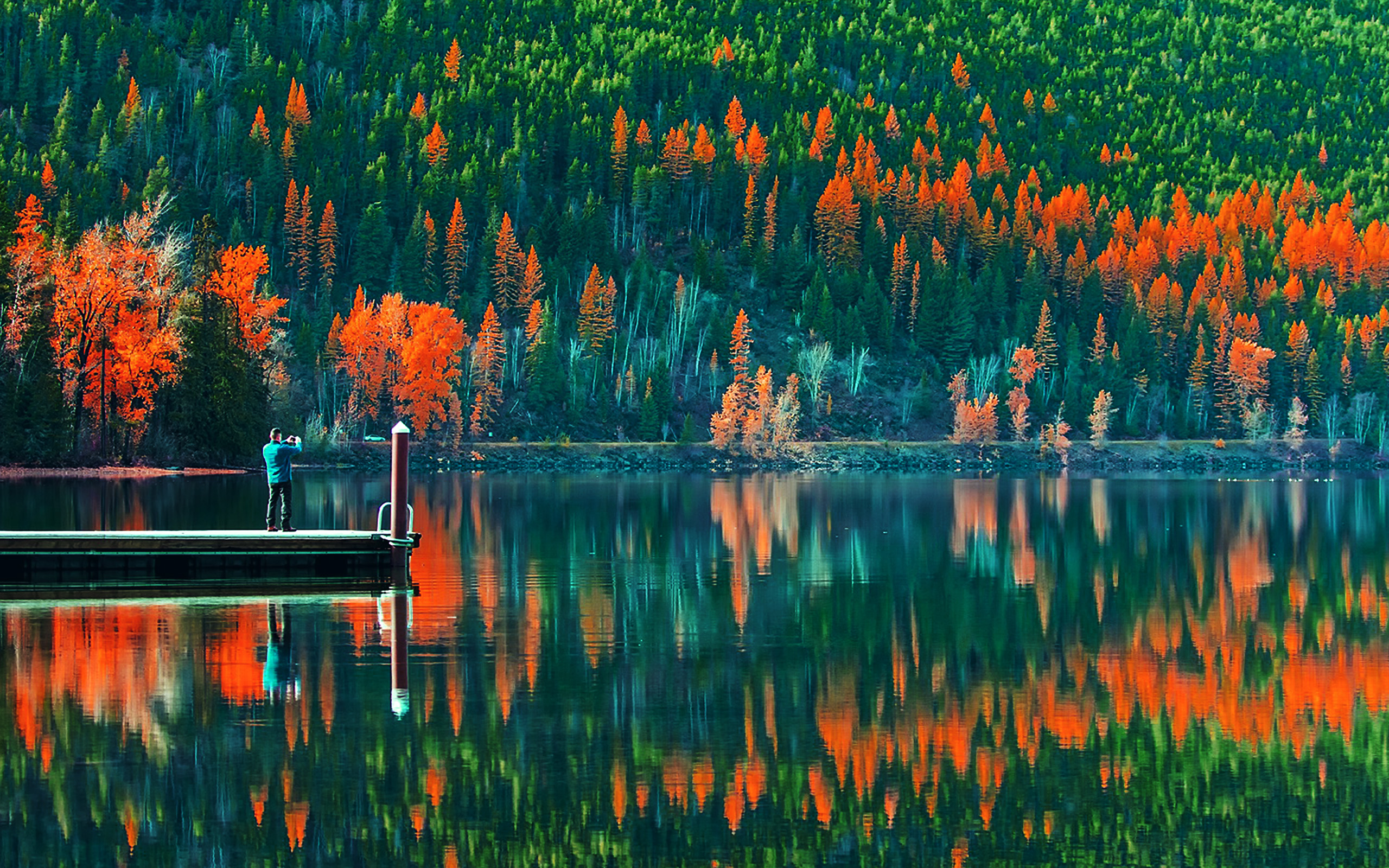 Lake View Wonderful Nature Green Wallpaper