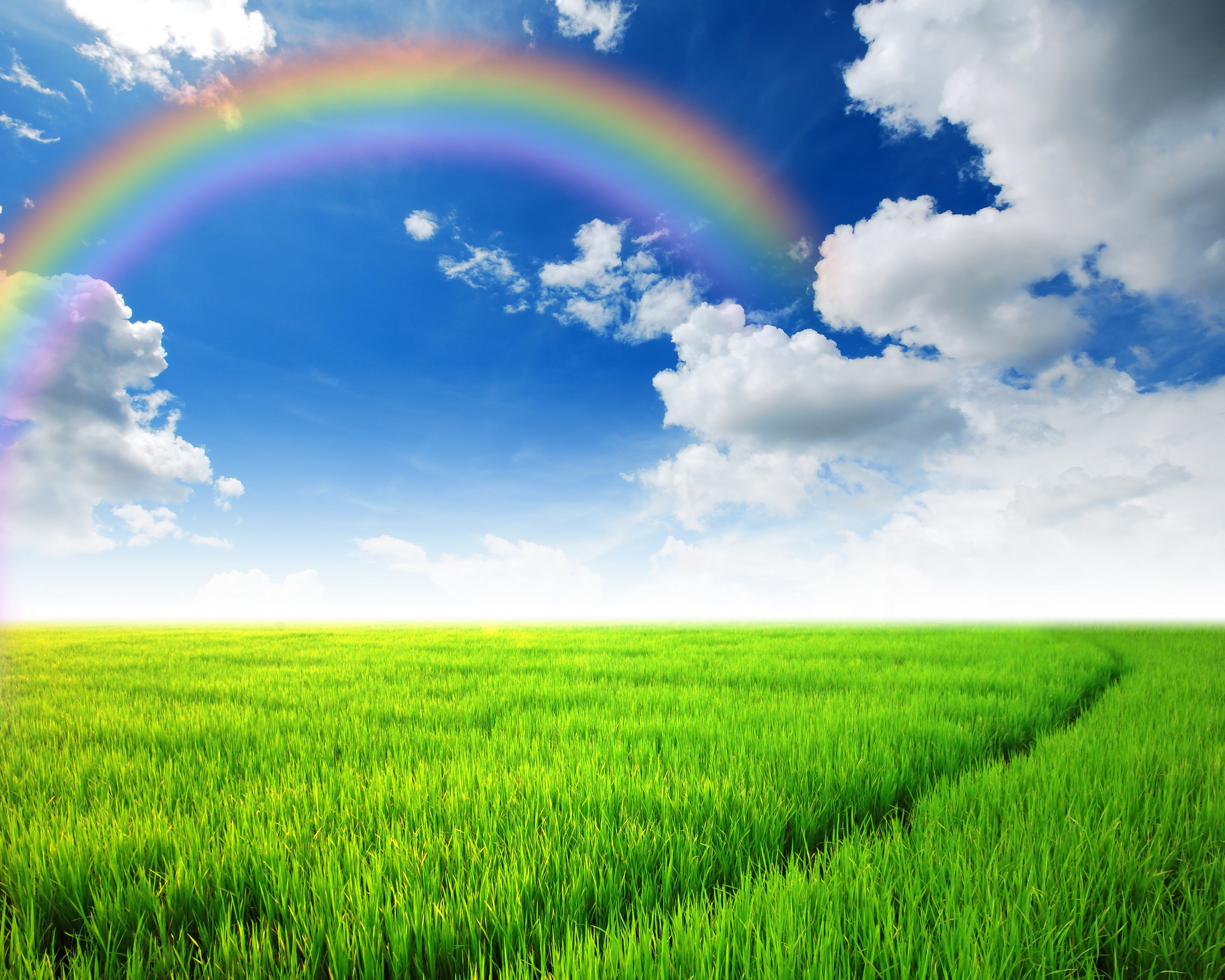 4K, 5K, Scenery, Fields, Sky, Grass, Rainbow, Clouds Gallery HD Wallpaper