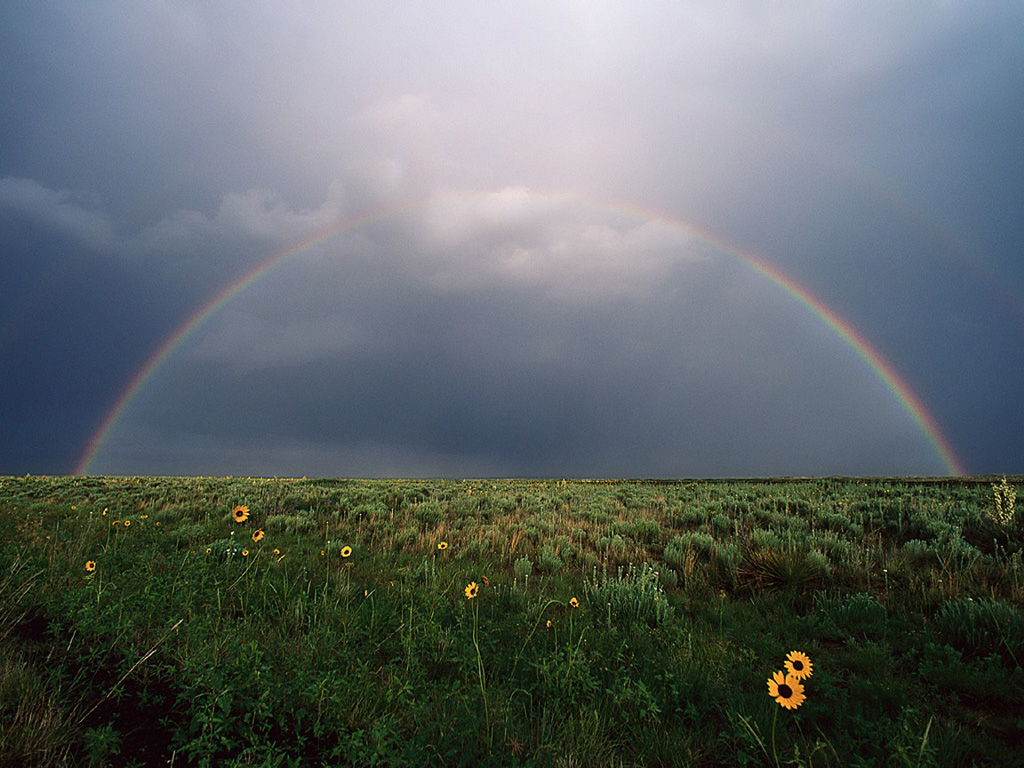 Rainbow In A Cloudy Sky Over A Meadow