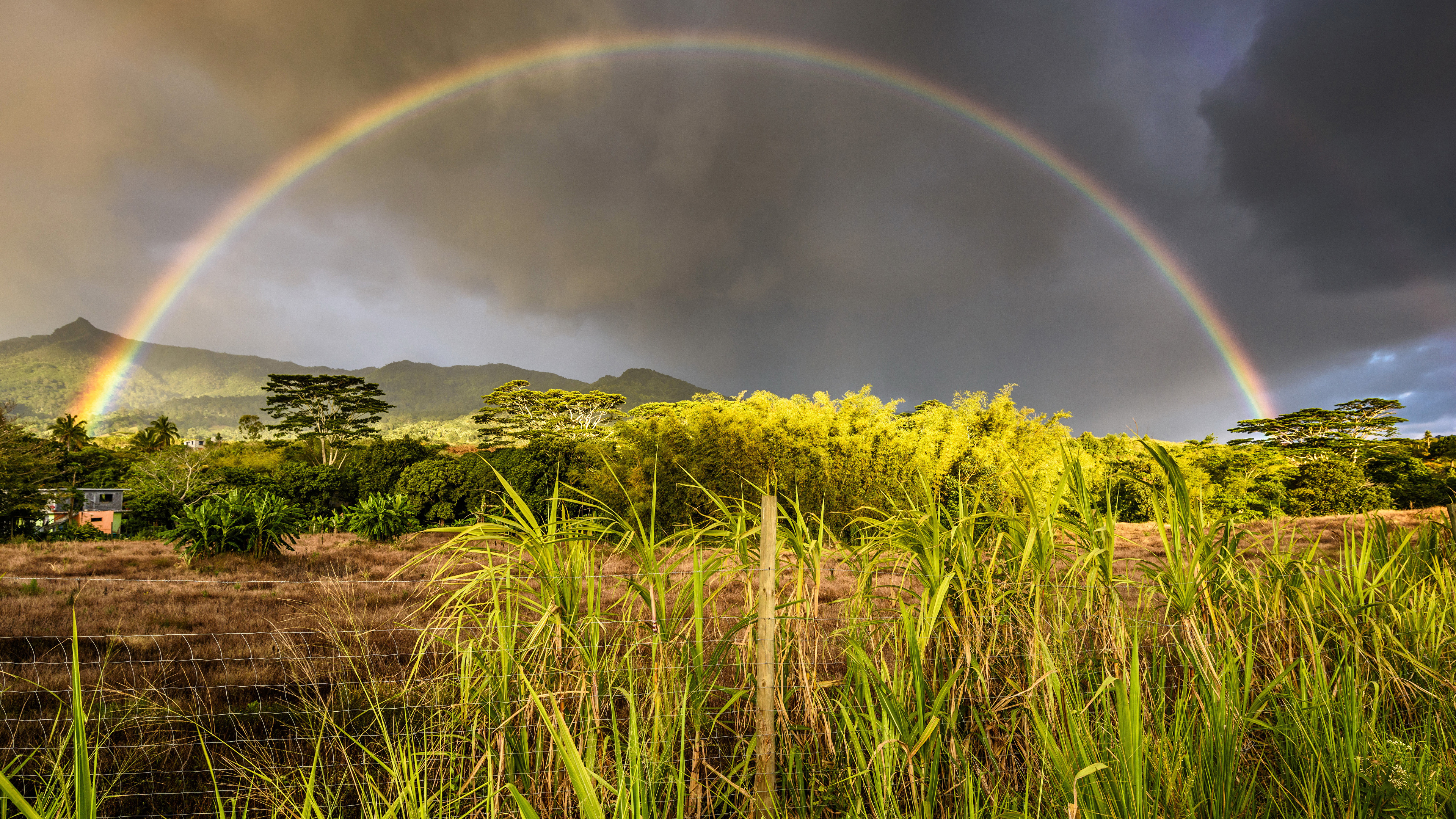 image Mauritius Nature Rainbow Sky Tropics Grass Bush 3840x2160