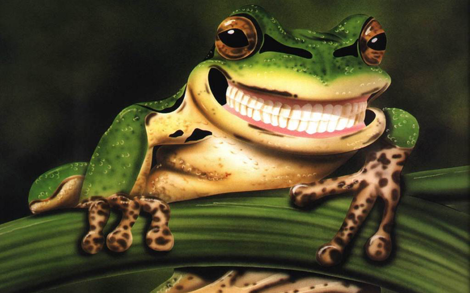 Cute Frogs Desktop Wallpaper