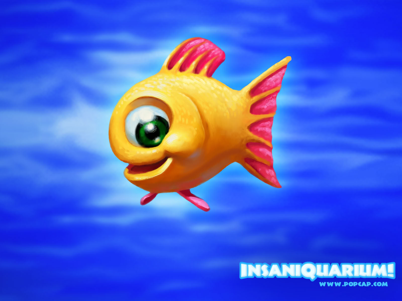 Free download GAMES Insaniquarium daroomiesroom [1600x1200] for your Desktop, Mobile & Tablet. Explore Insaniquarium Wallpaper