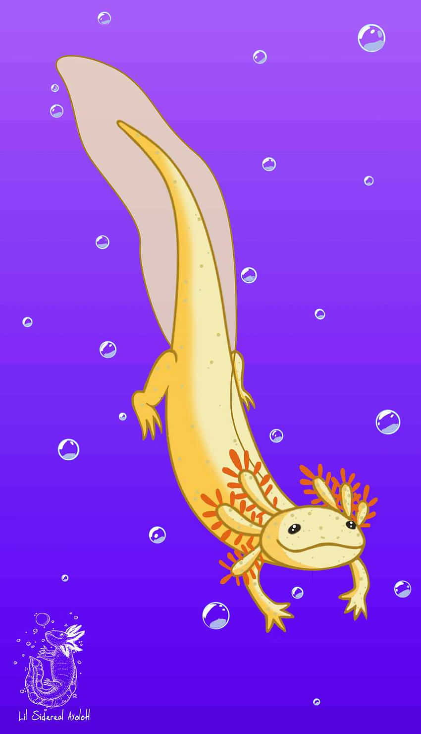 Free Cute Axolotl Wallpaper Downloads, Cute Axolotl Wallpaper for FREE