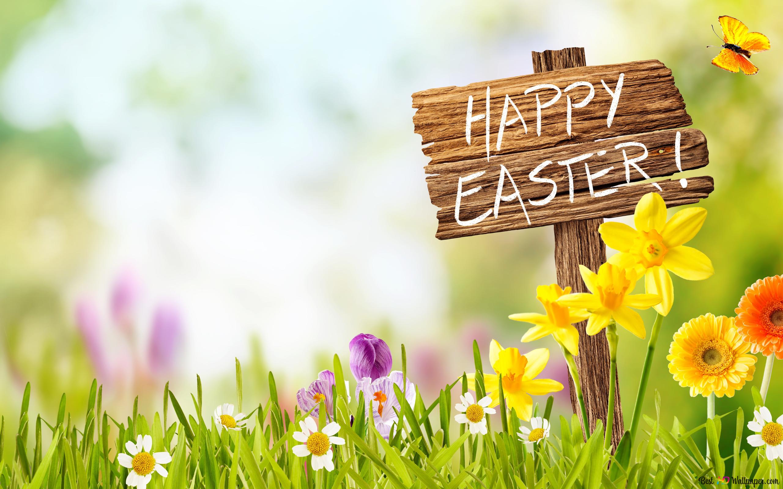 Happy Easter Board 4K wallpaper download