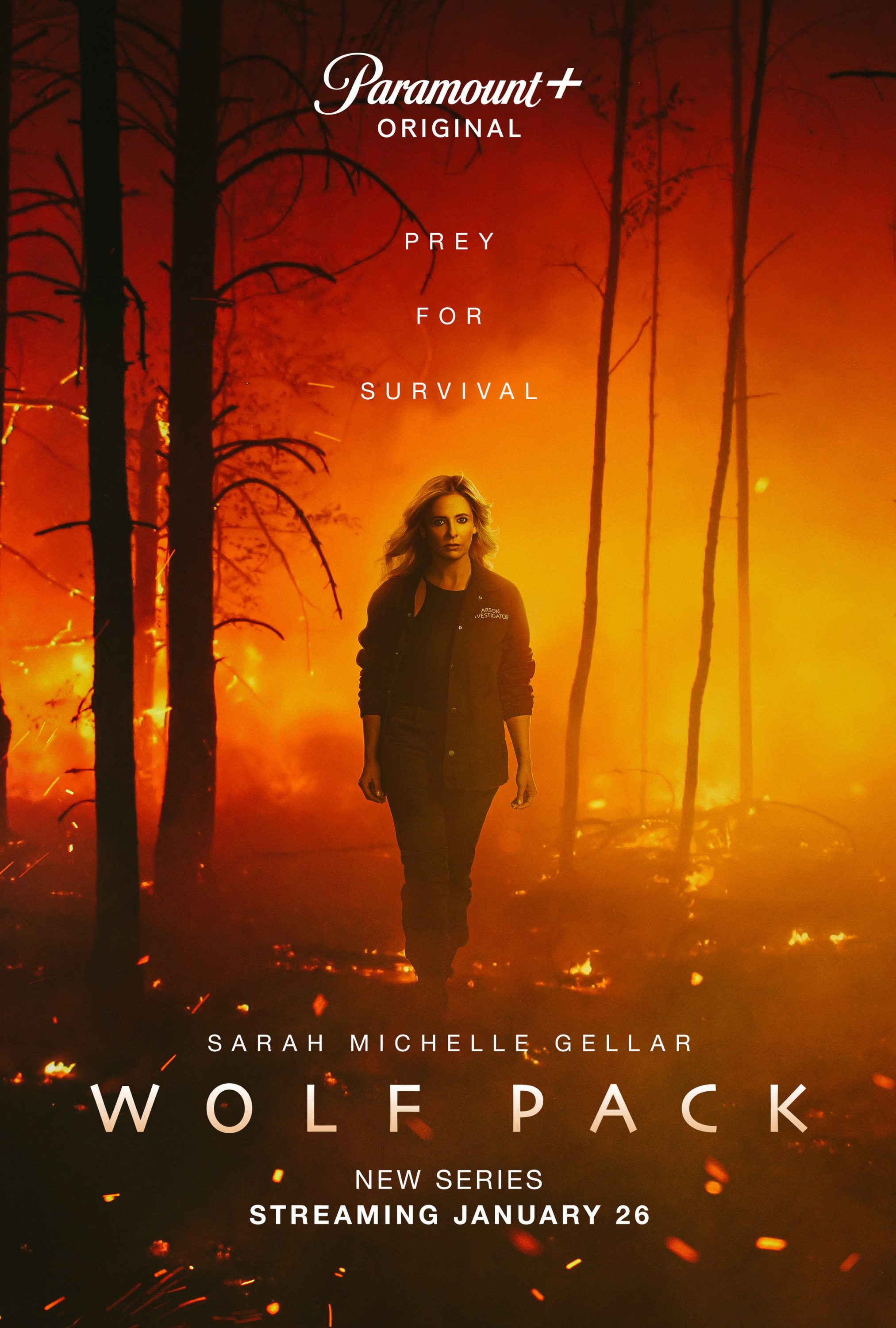 Wolf Pack TV Poster ( of 7)