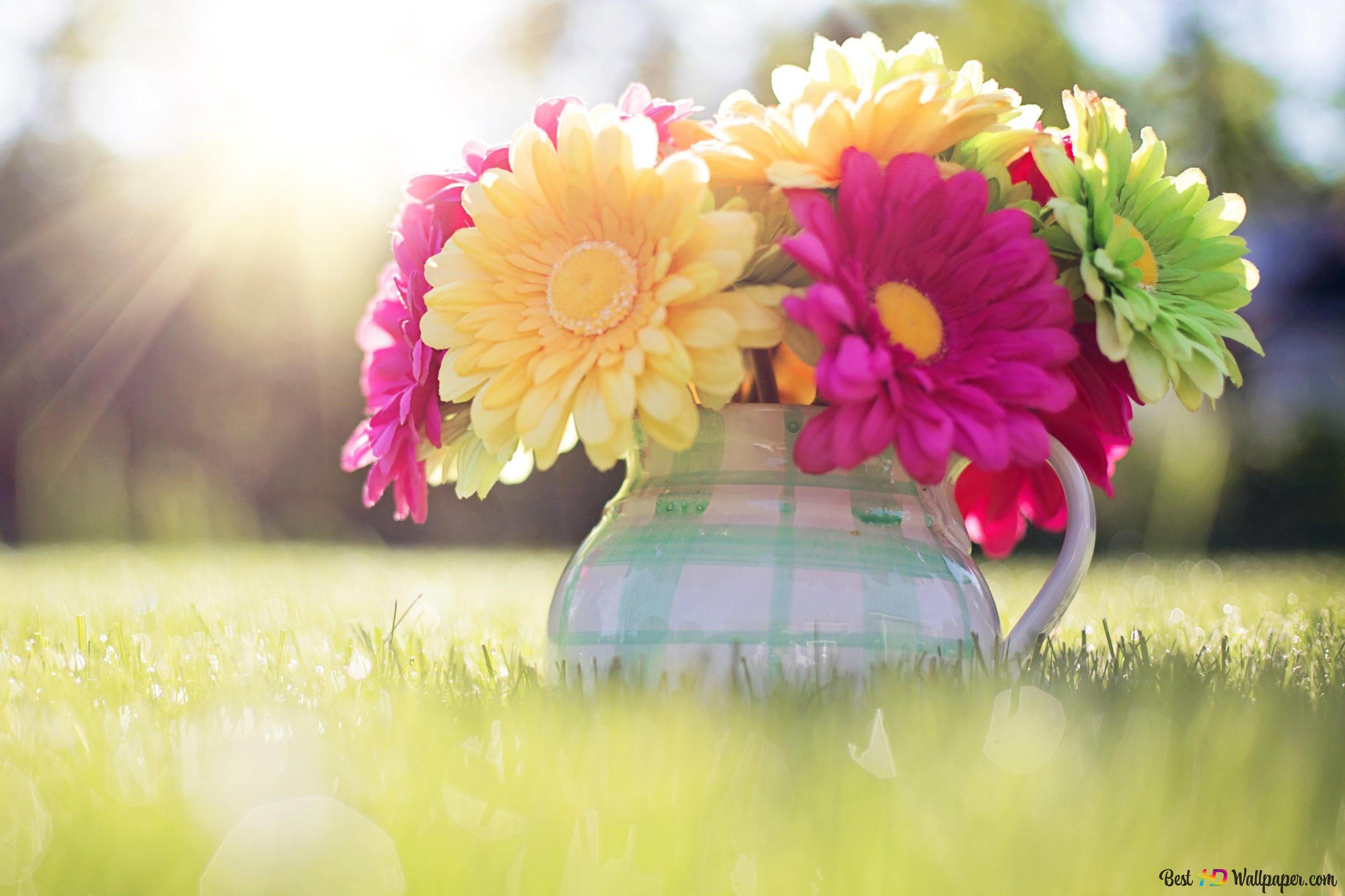 Flowers in pots on the lawn in spring 4K wallpaper download