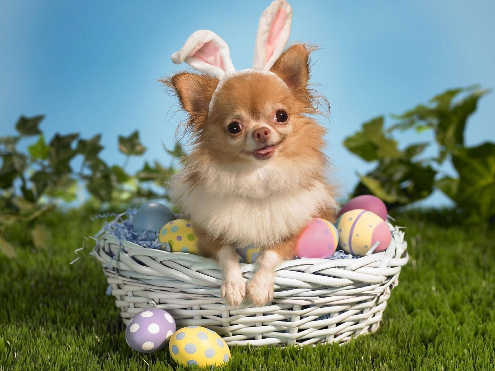 Cute Easter Picture