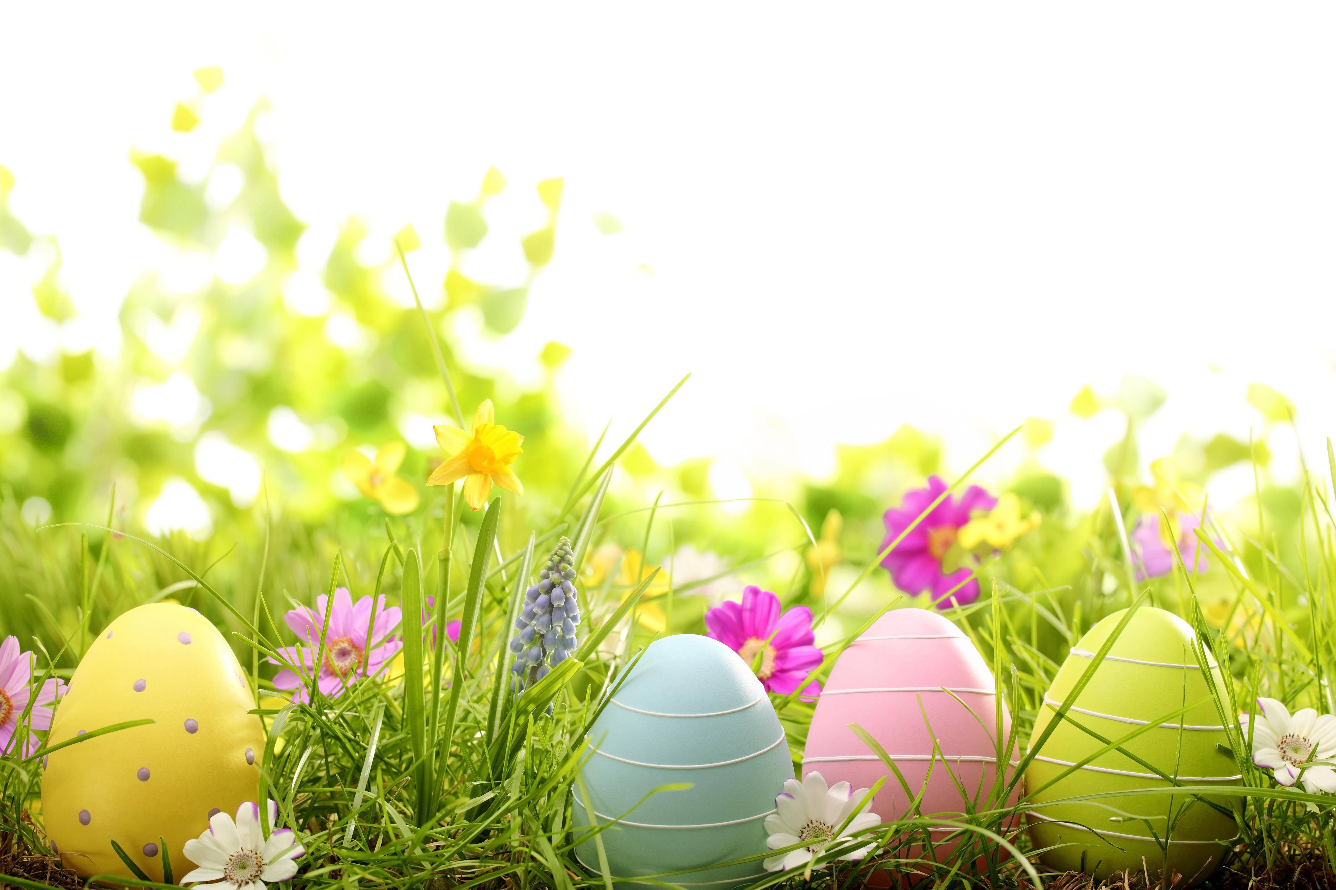 Download Colorful Easter Eggs On Grass Wallpaper