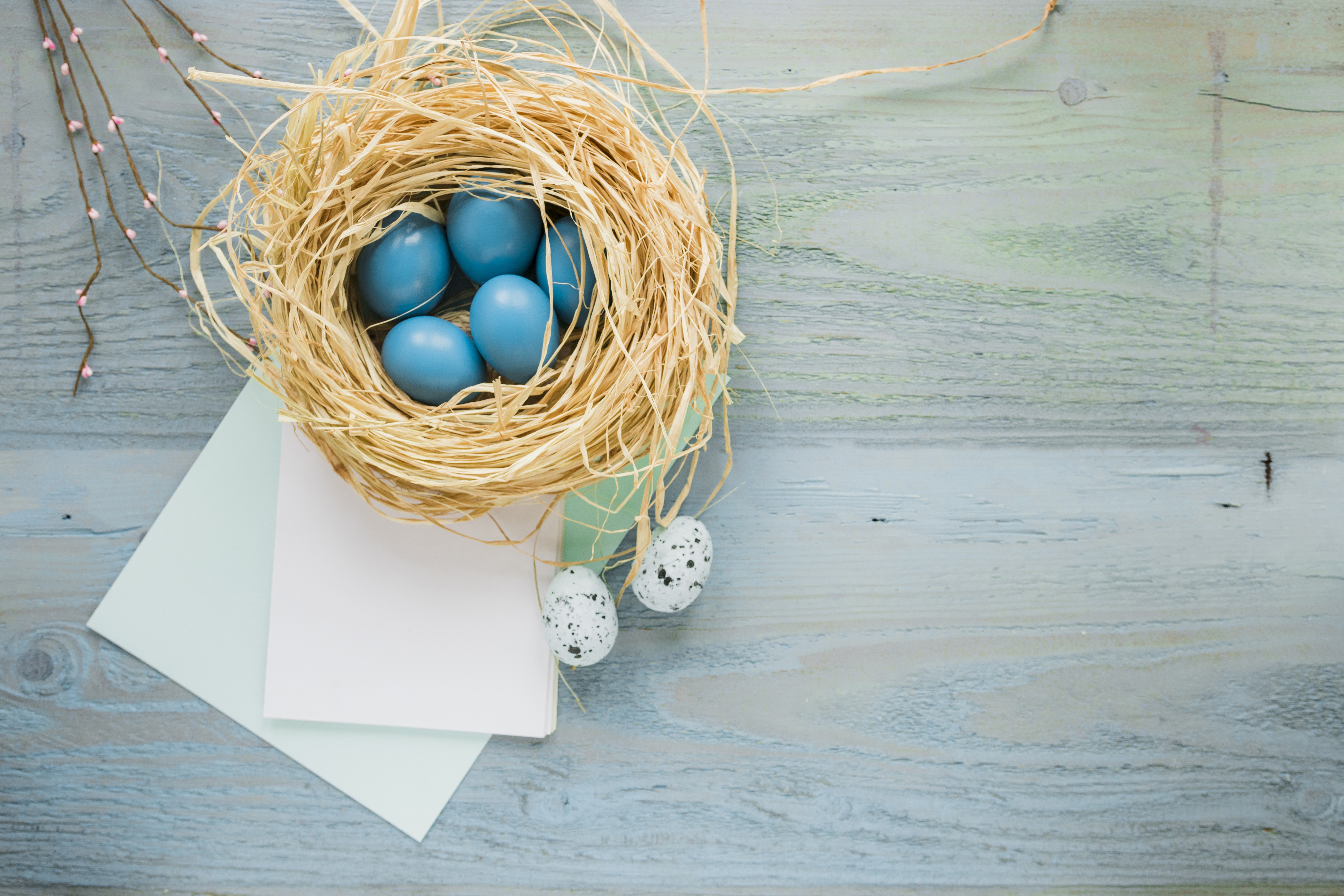 4K, 5K, Easter, Eggs, Nest, Sheet of paper Gallery HD Wallpaper