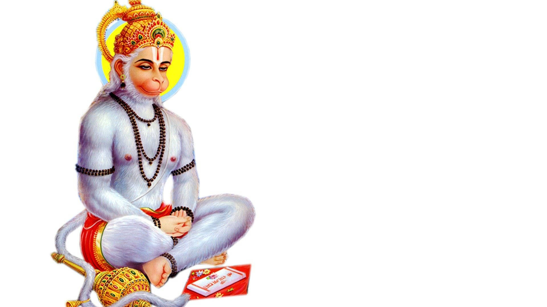 Download Hanuman White Fur On White 4k HD Wallpaper