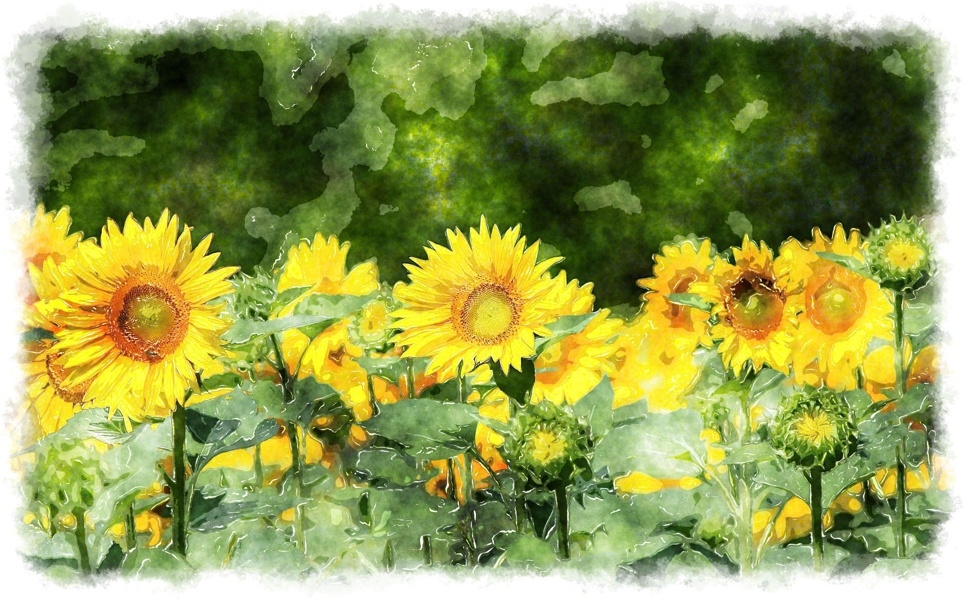 Free download sunflower paintings [1920x1201] for your Desktop, Mobile & Tablet. Explore Watercolor Mural Wallpaper. Watercolor Background, Watercolor Wallpaper, Watercolor Painting Wallpaper
