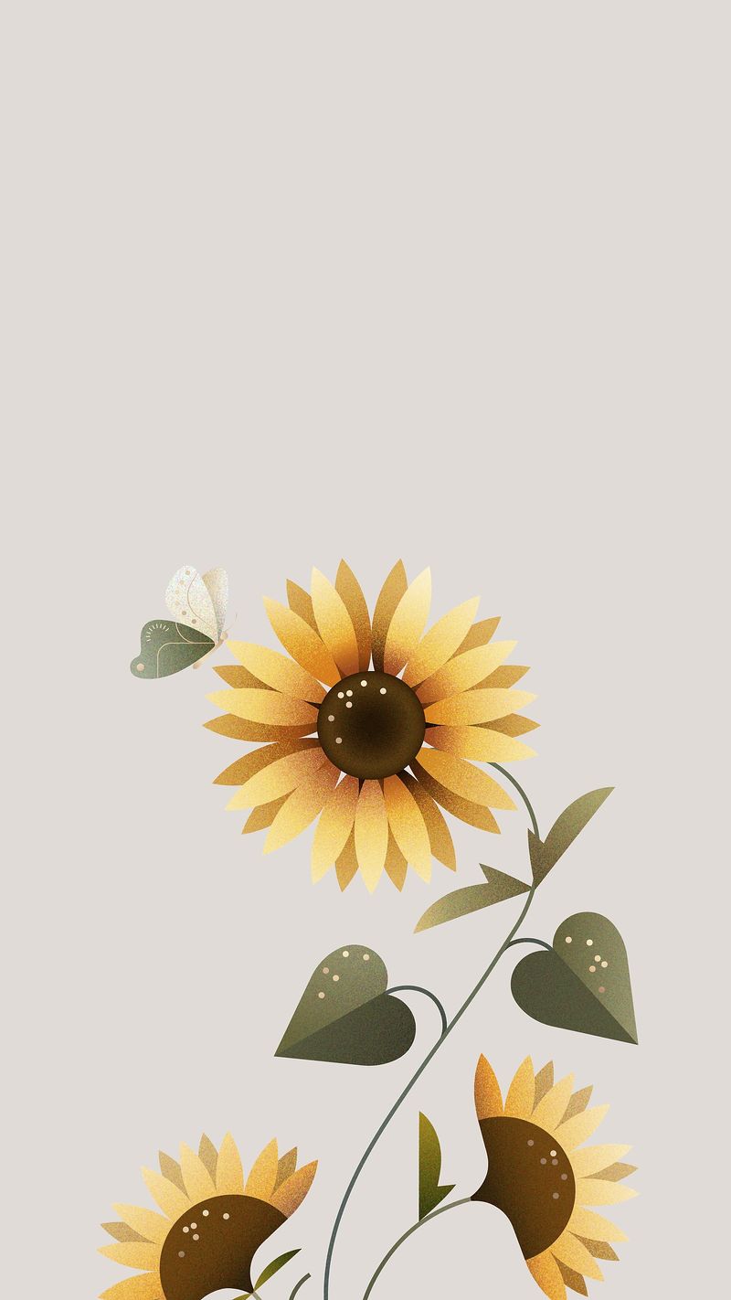 Sunflower Wallpaper Image Wallpaper