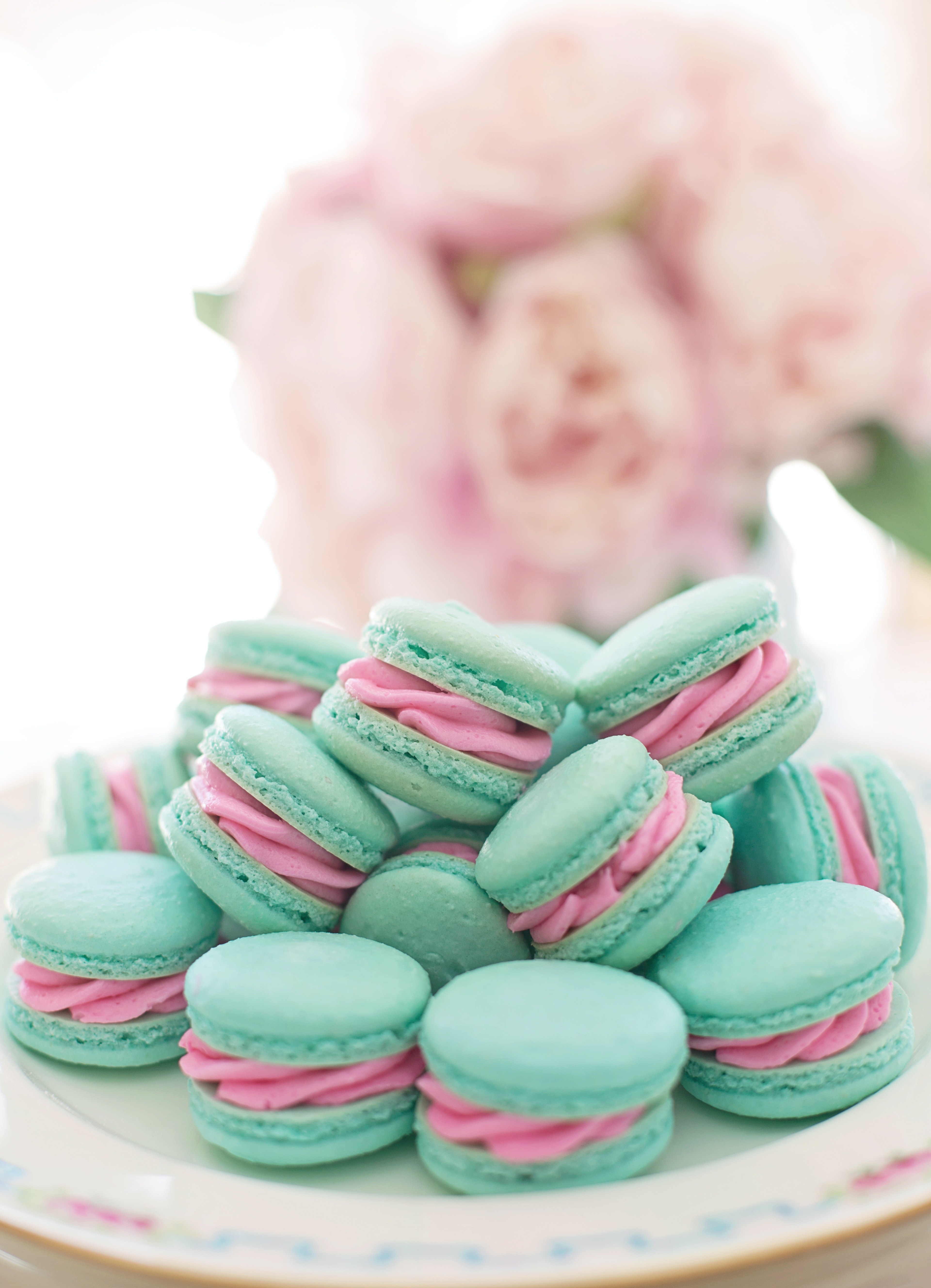 Macarons Photo, Download The BEST Free Macarons & HD Image