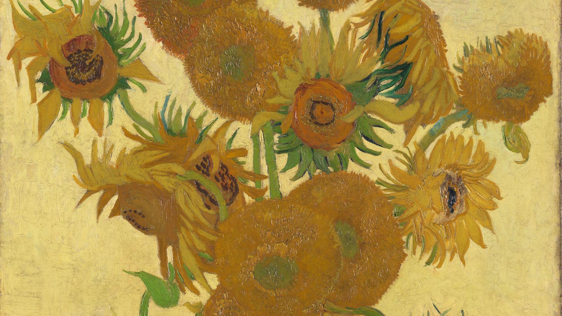 Vincent van Gogh. Sunflowers. NG3863. National Gallery, London