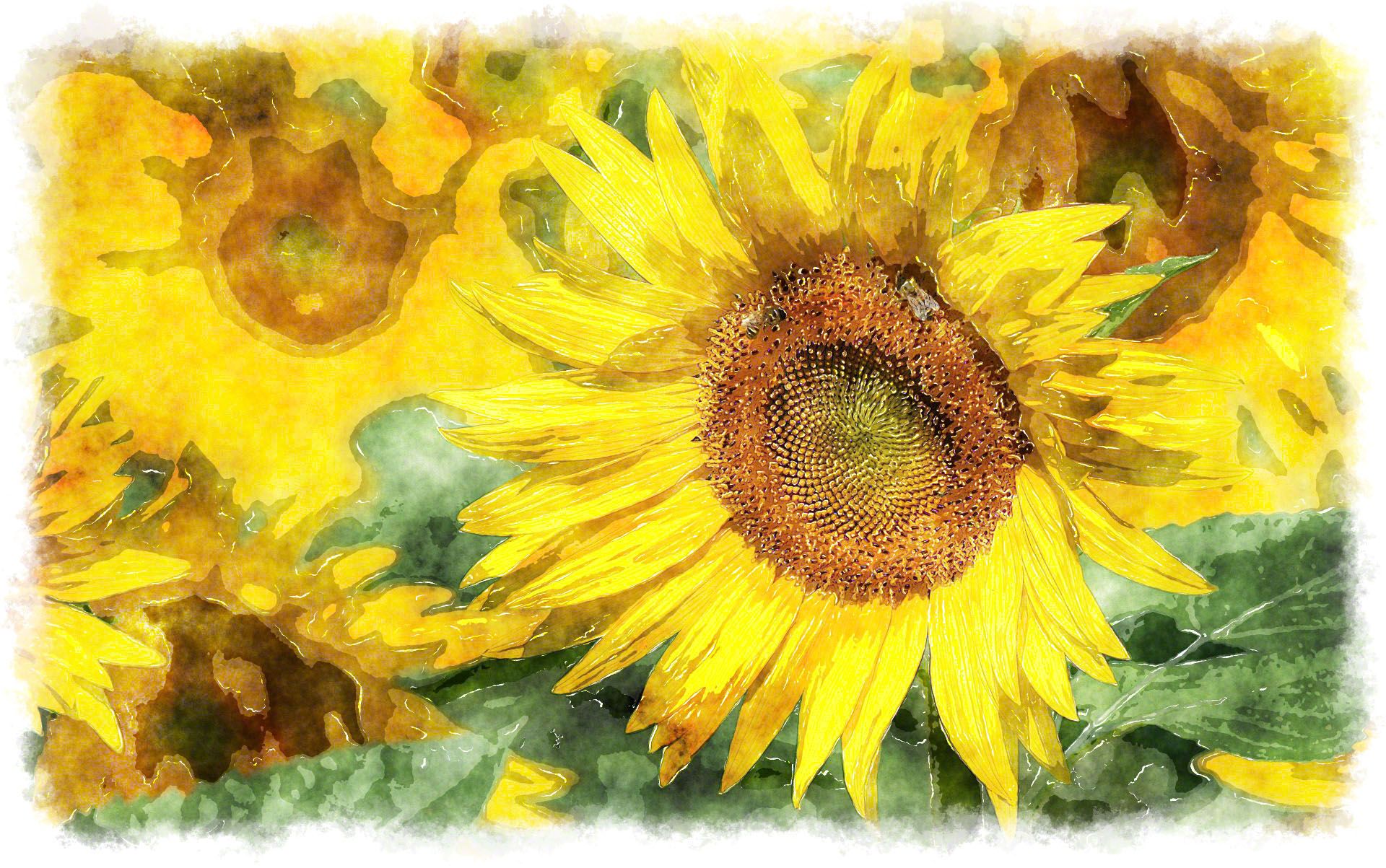 watercolor sunflower