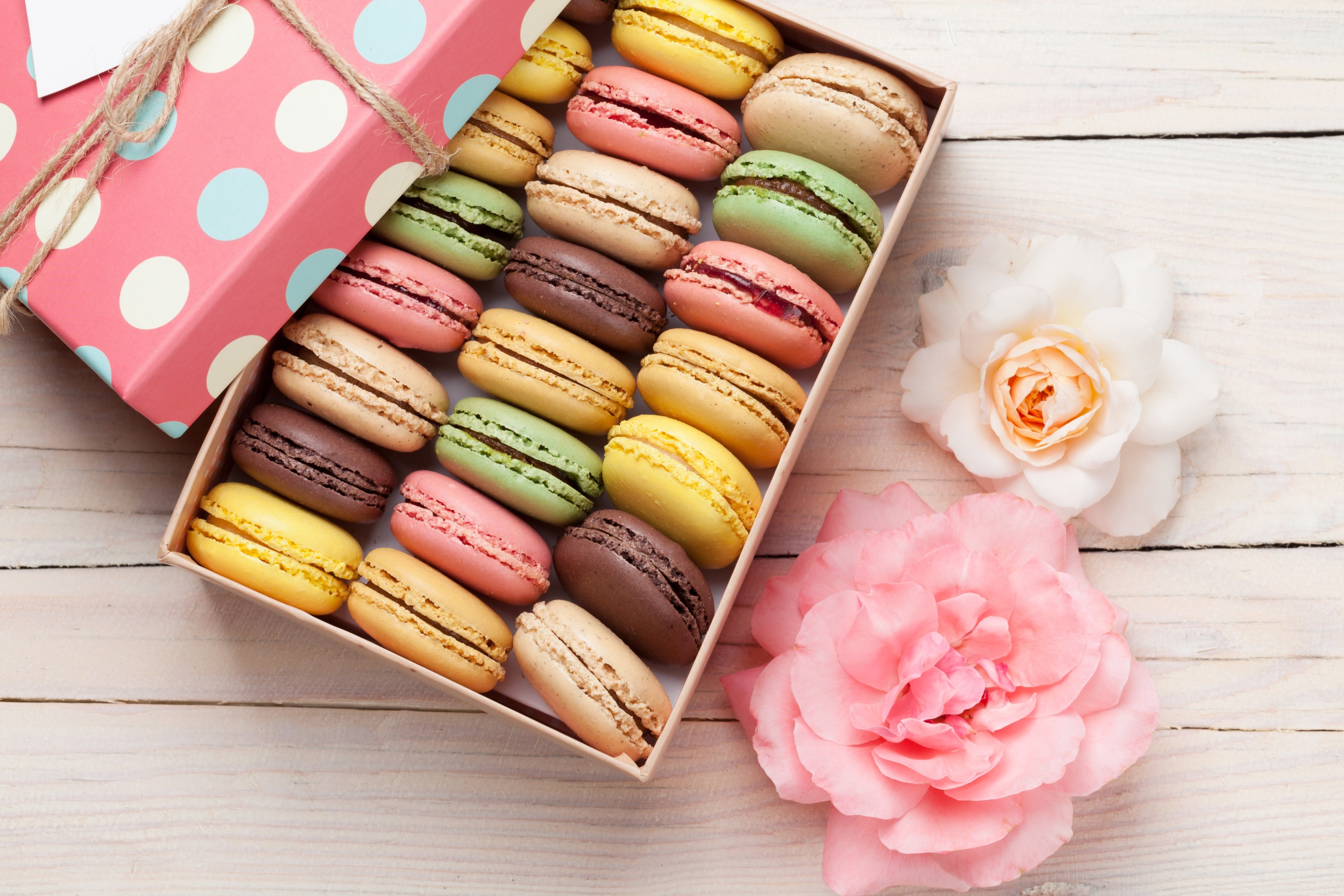3840x2560 macaron 4k HD wallpaper image Gallery HD Wallpaper