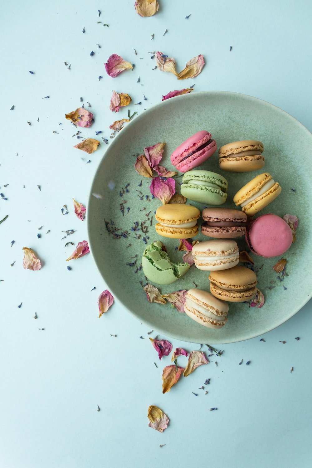 Macaron Picture [HD]. Download Free Image