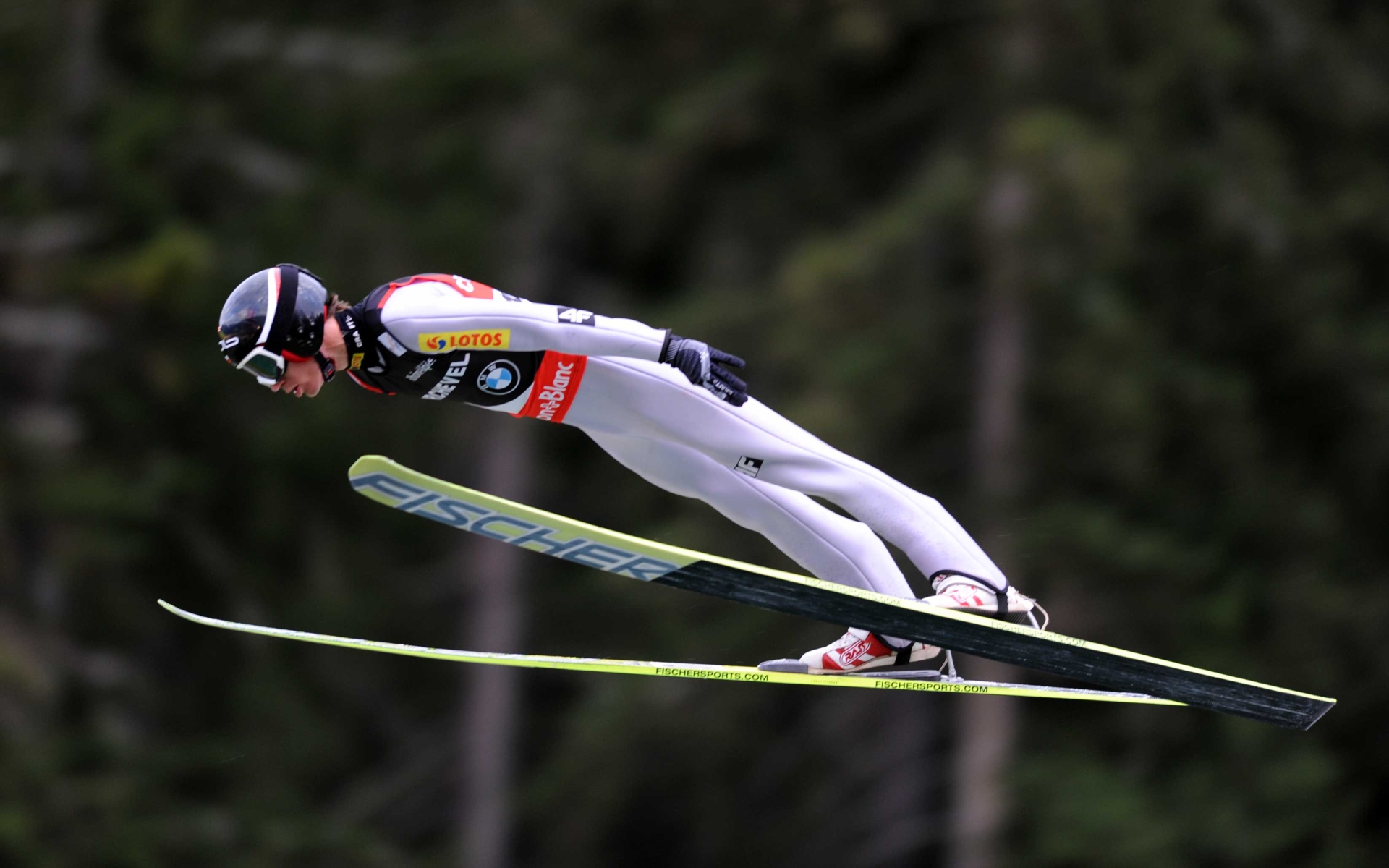 Kamil Stoch HD Wallpaper and Background