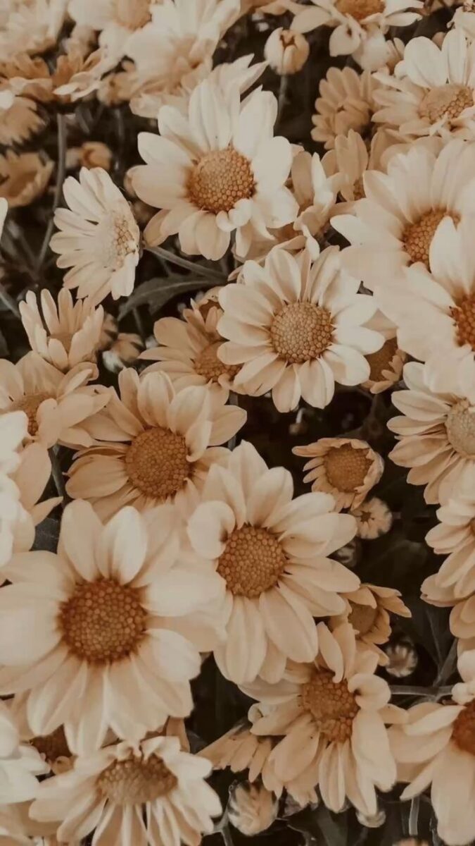 spring wallpaper for iphone