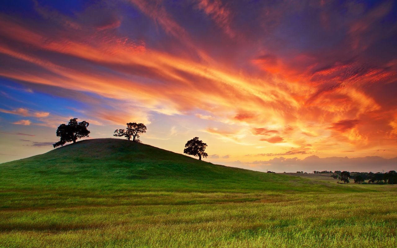 Download wallpaper 1280x800 usa, california, sunset, spring, may, sky, clouds, field, grass, trees widescreen 16:10 HD background