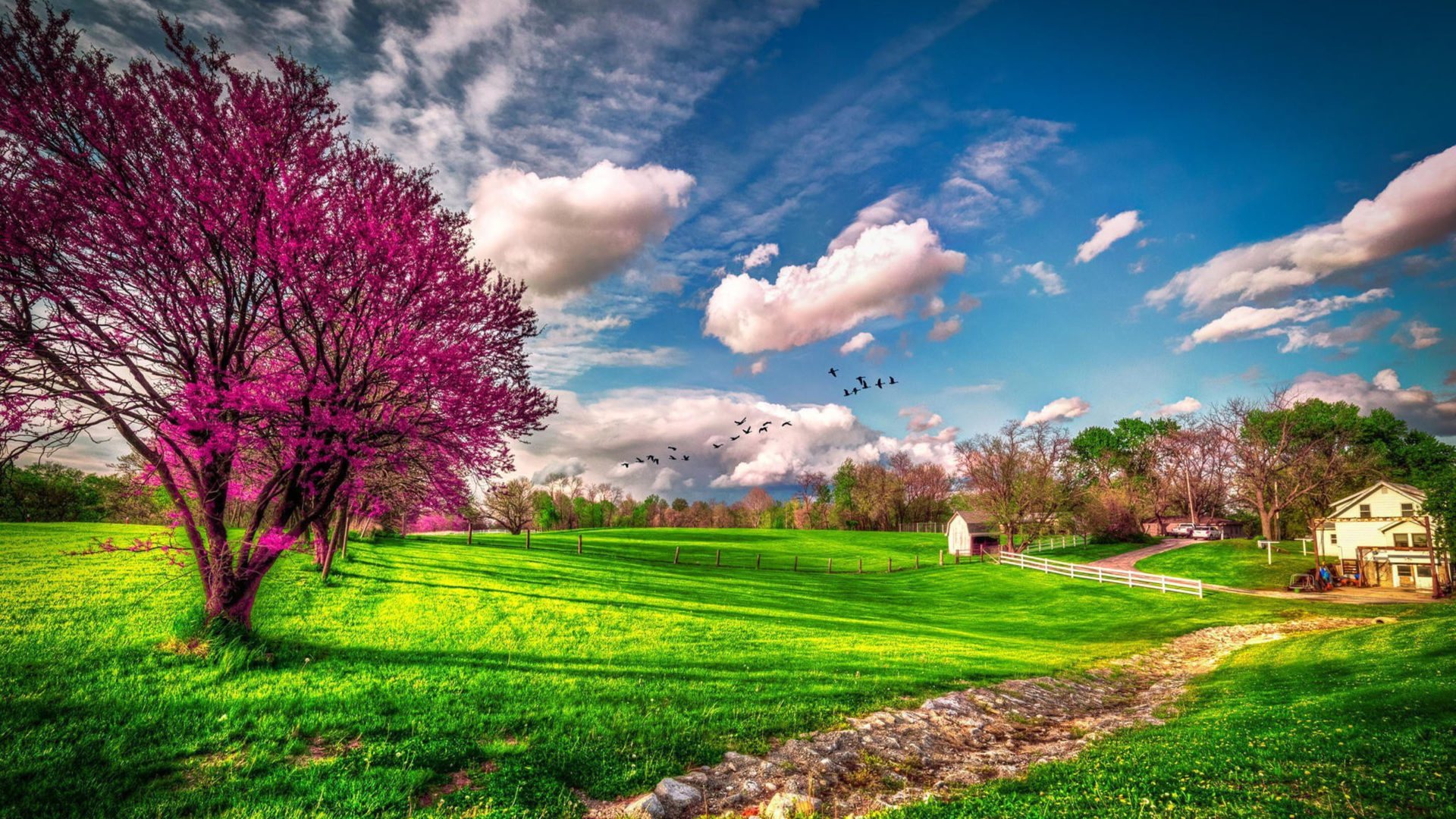 Spring Meadow Landscape With Green Grass