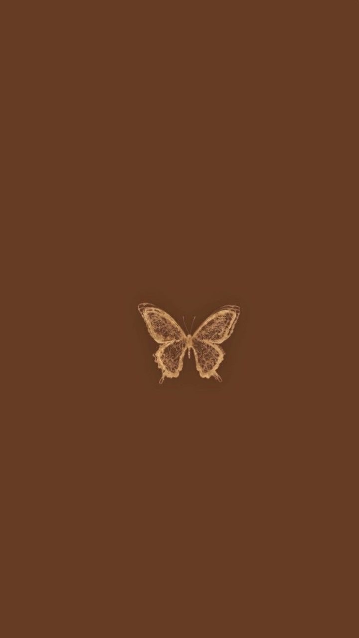 Brown Butterfly Wallpaper  JPG  Templatenet