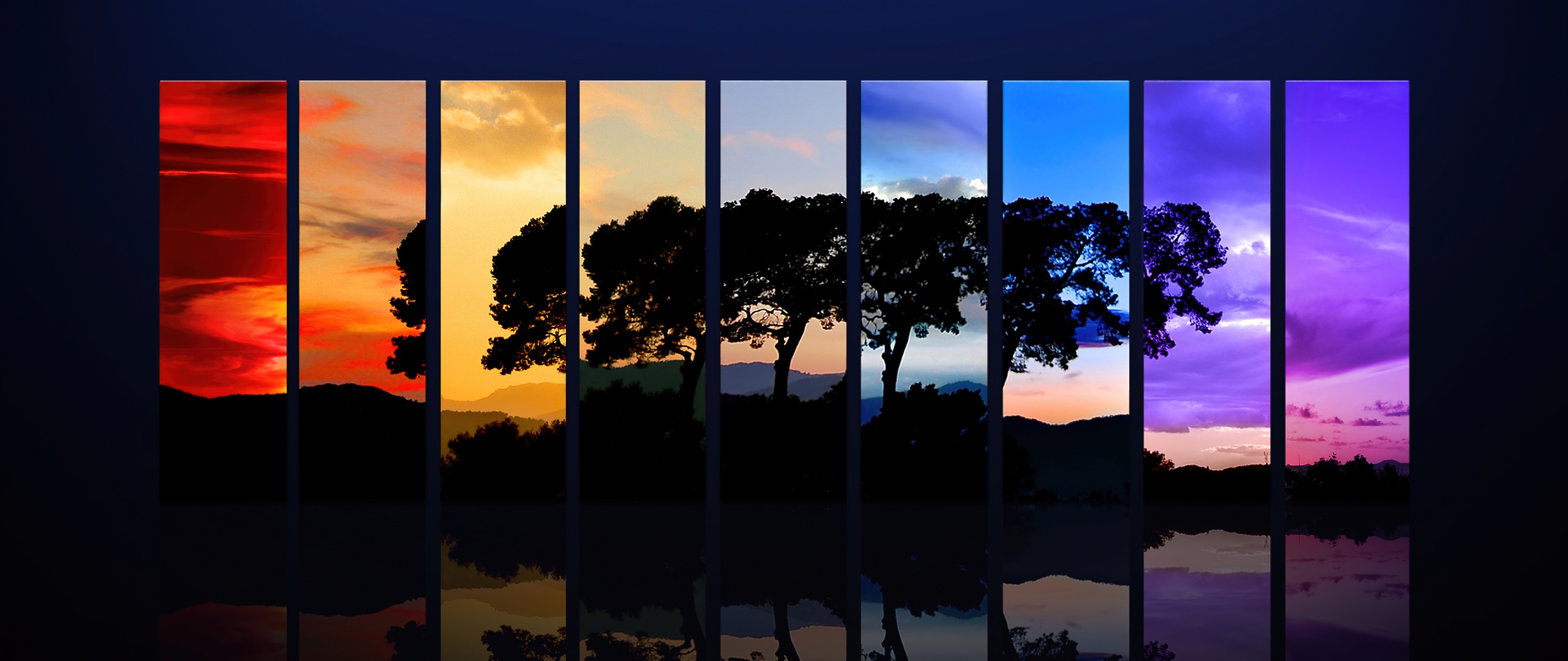 Tree Wallpaper 4K, Sunset, Daylight, Nature