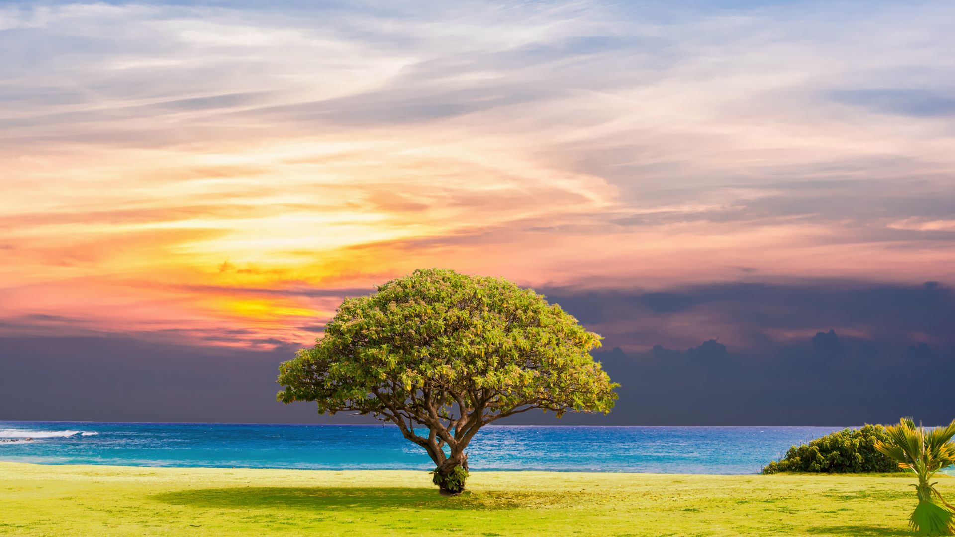 Desktop Wallpaper Tree, Sunset, Landscape, Skyline, Nature, Sea, HD Image, Picture, Background, 345315