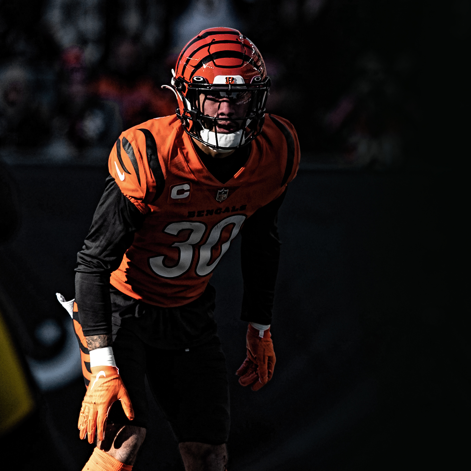 Cincinnati Bengals OF THE TIGER