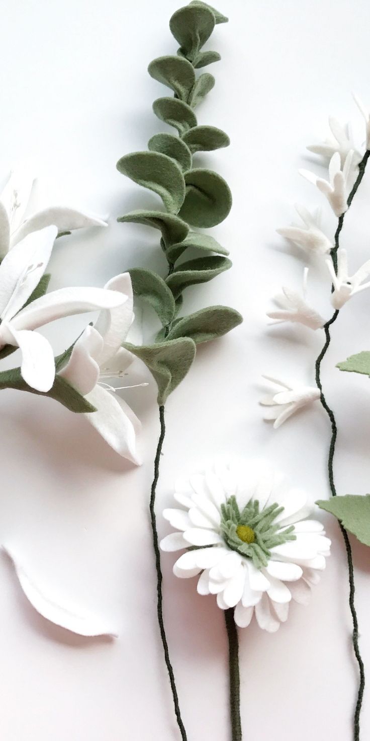 White flowers, green leaves, fresh, 1080x2160 wallpaper. White flower wallpaper, Flower iphone wallpaper, iPhone wallpaper