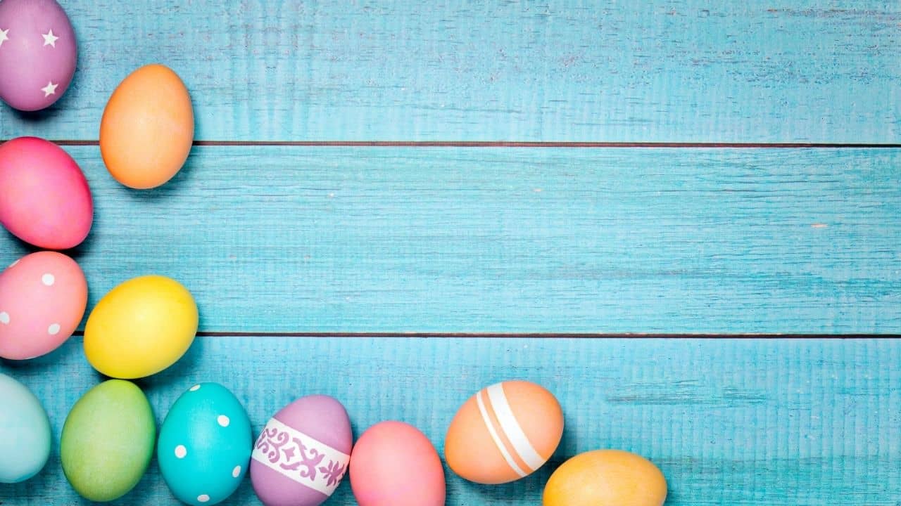 Eggs Cellent Easter Zoom Background