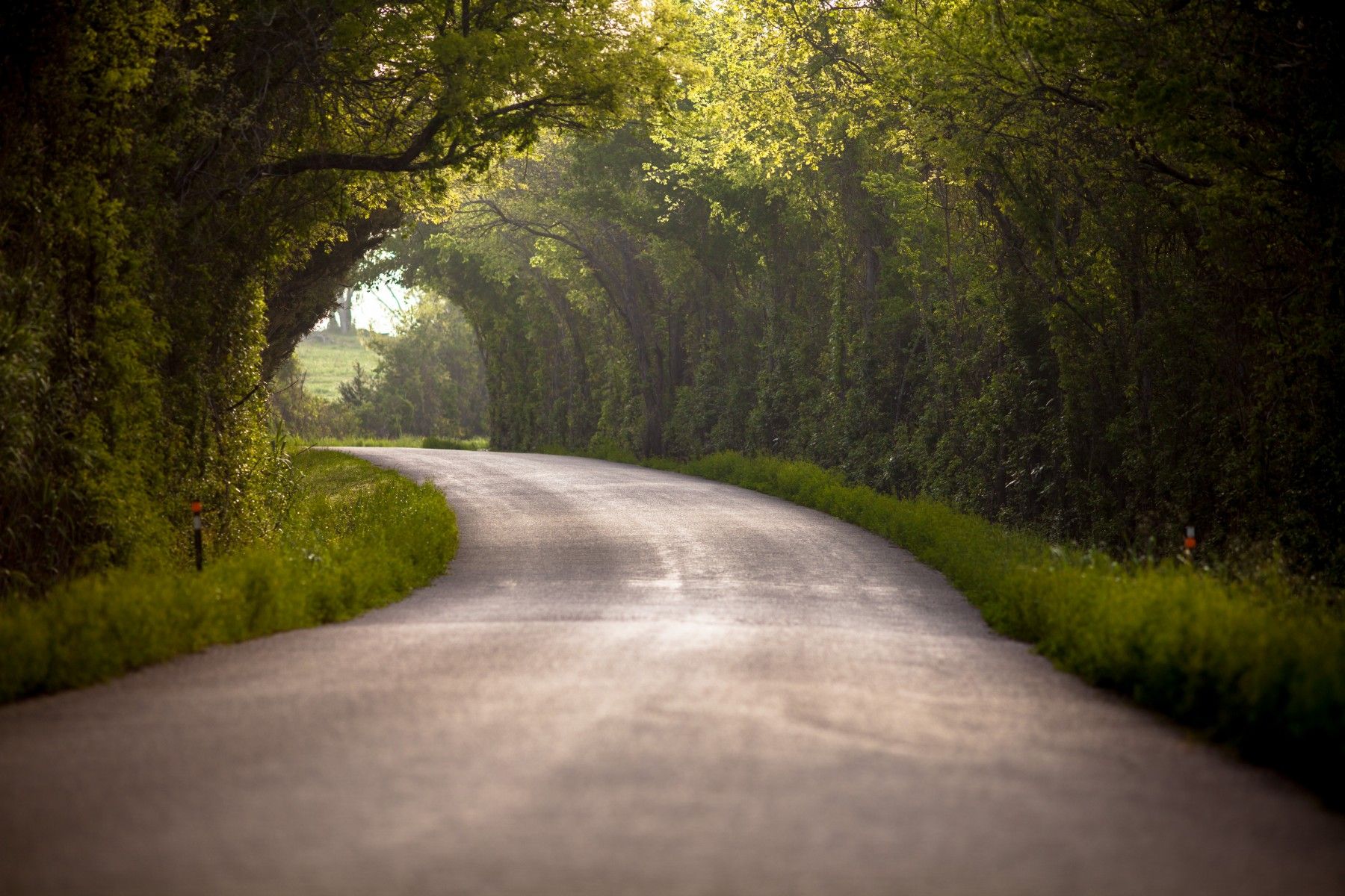 Forest Tunnel In Chappell Hill Texas. Beautiful roads, Nature wallpaper, Summer wallpaper