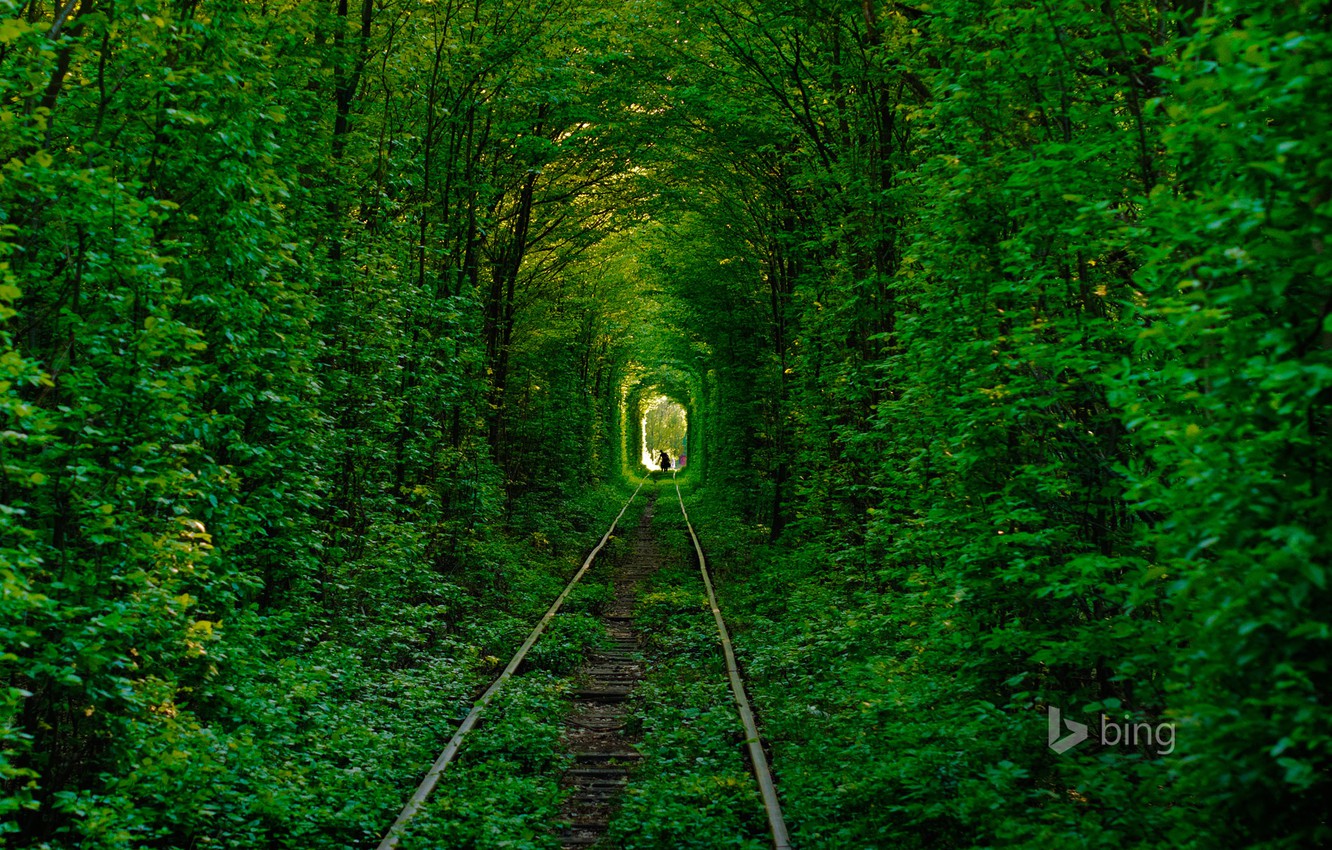 Wallpaper road, forest, trees, rails, silhouette, Ukraine, tunnel of love, Klevan image for desktop, section природа